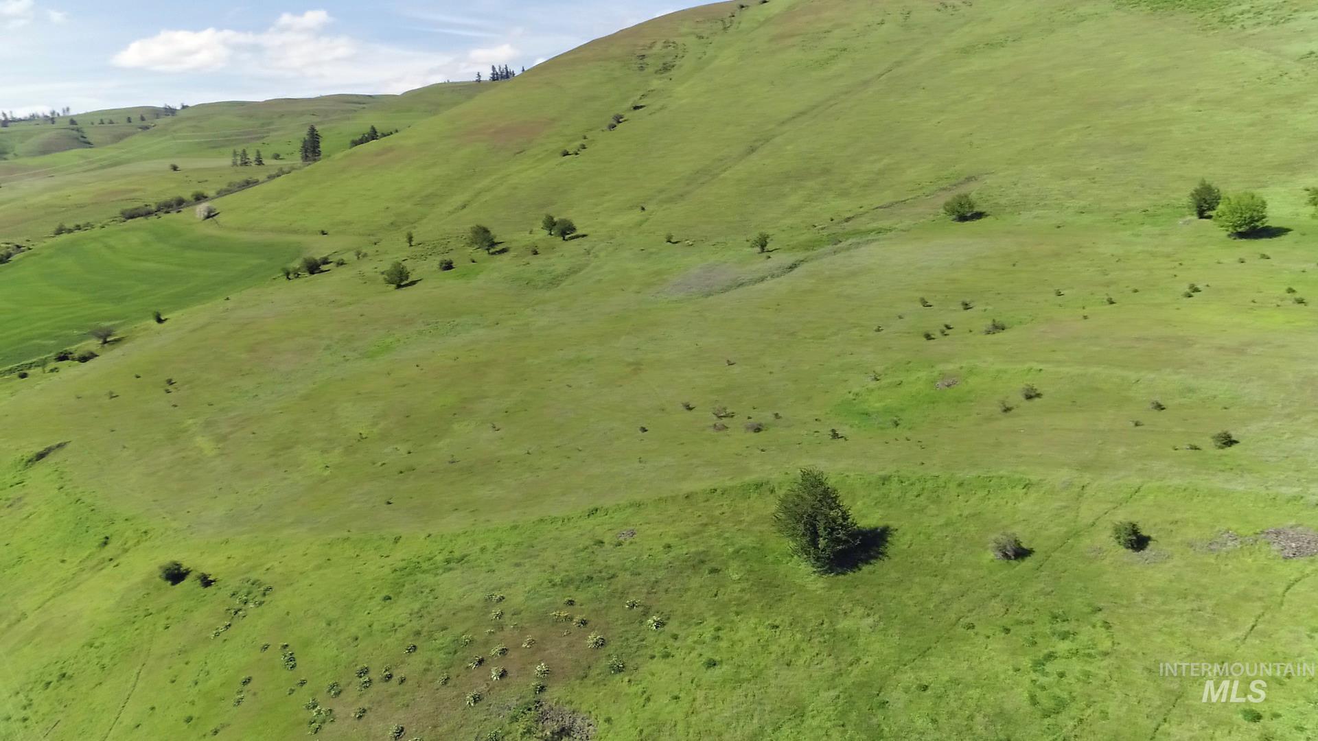 TBD Sunnyside Bench Road, Lenore, Idaho 83541, Land For Sale, Price $261,900,MLS 98937294