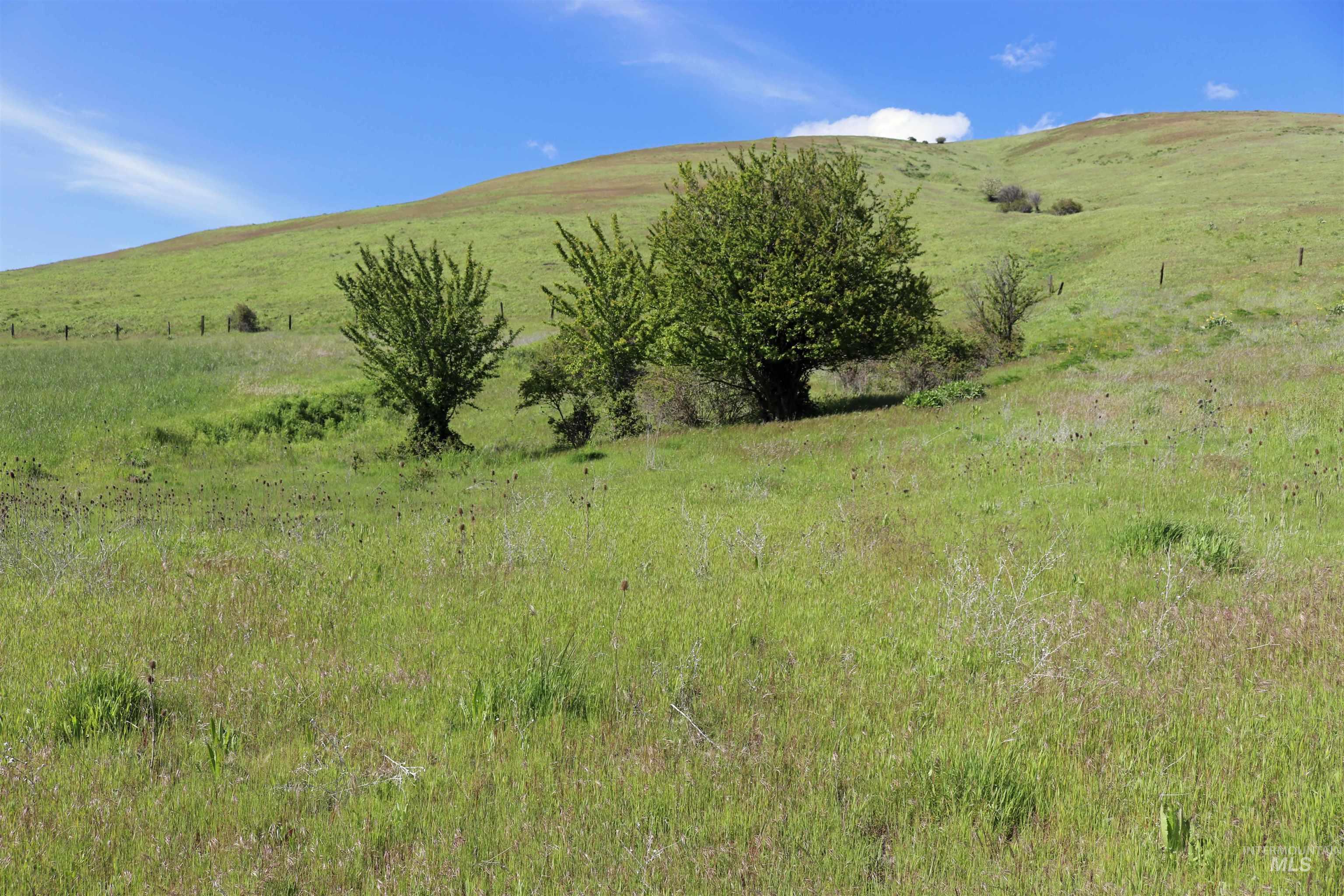 TBD Sunnyside Bench Road, Lenore, Idaho 83541, Land For Sale, Price $261,900,MLS 98937294