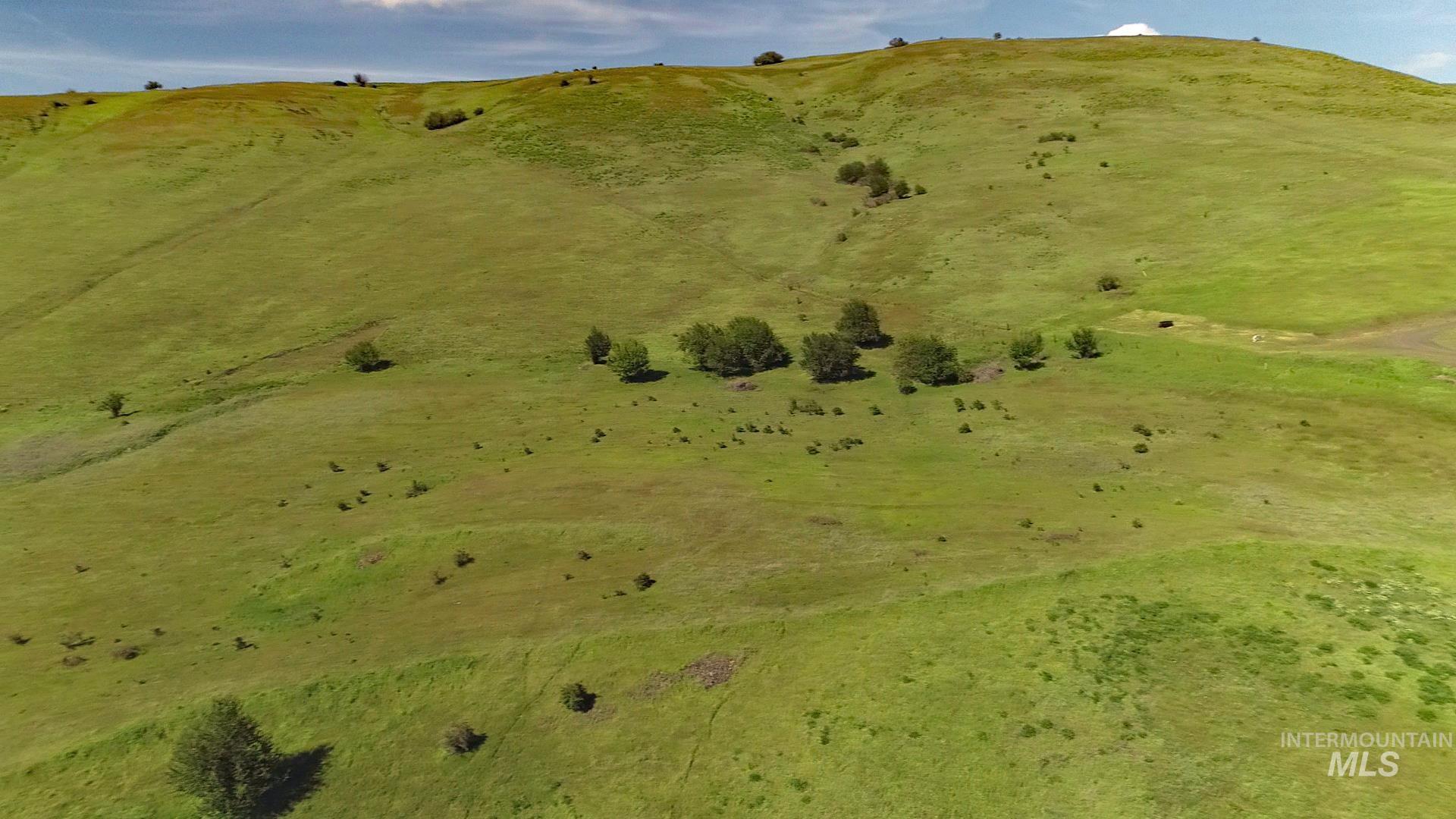 TBD Sunnyside Bench Road, Lenore, Idaho 83541, Land For Sale, Price $261,900,MLS 98937294