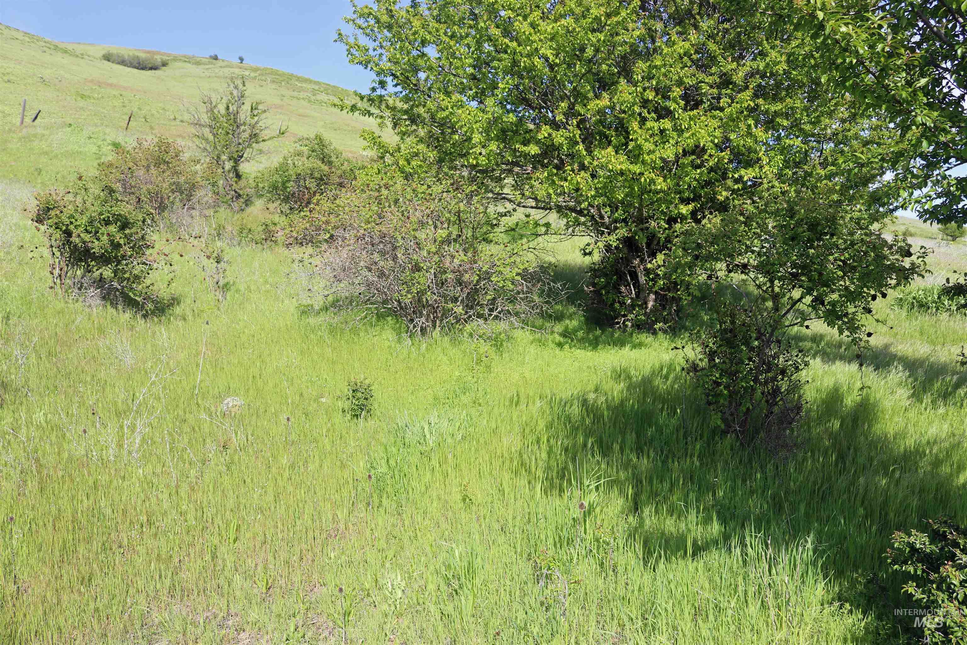 TBD Sunnyside Bench Road, Lenore, Idaho 83541, Land For Sale, Price $261,900,MLS 98937294