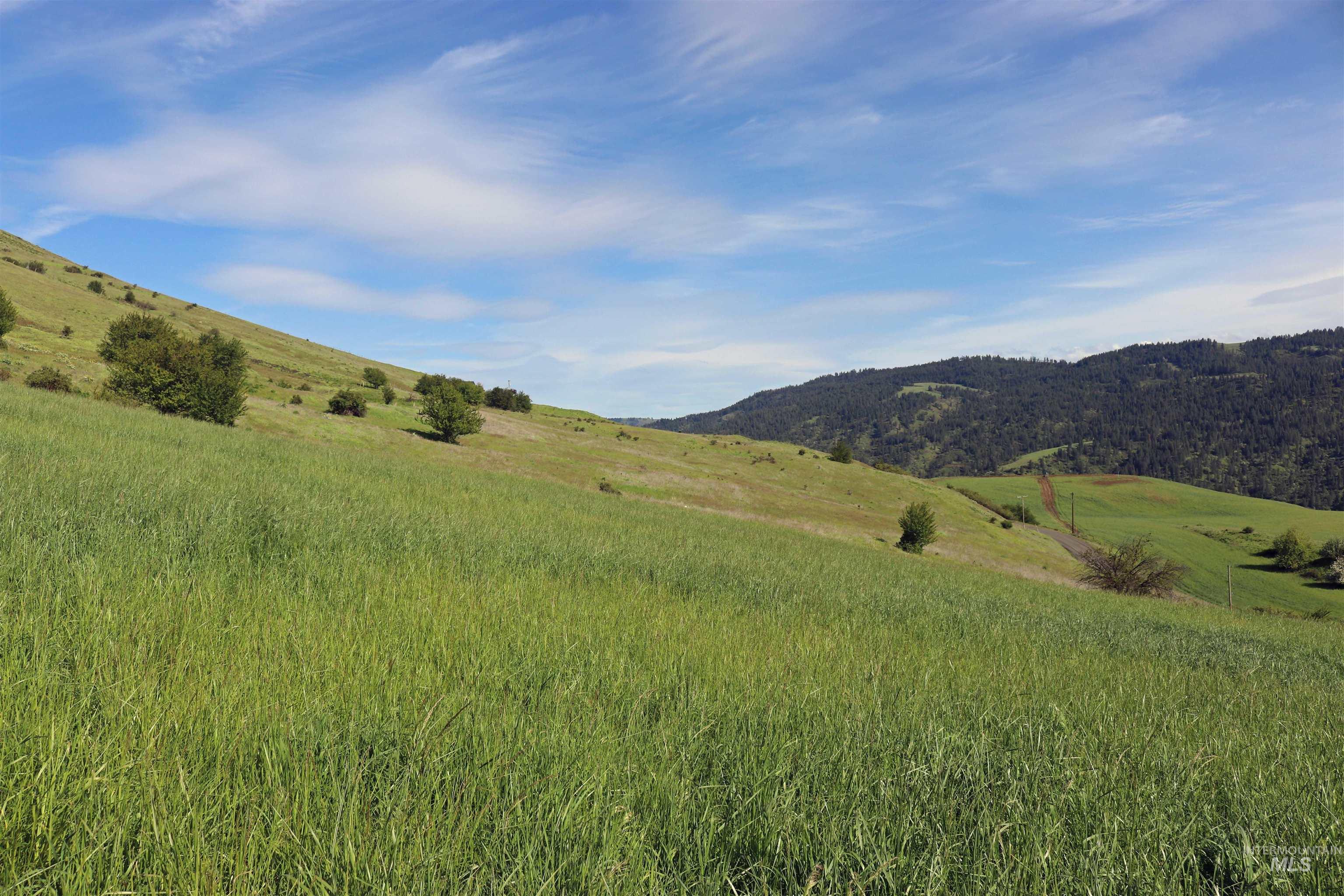 TBD Sunnyside Bench Road, Lenore, Idaho 83541, Land For Sale, Price $261,900,MLS 98937294