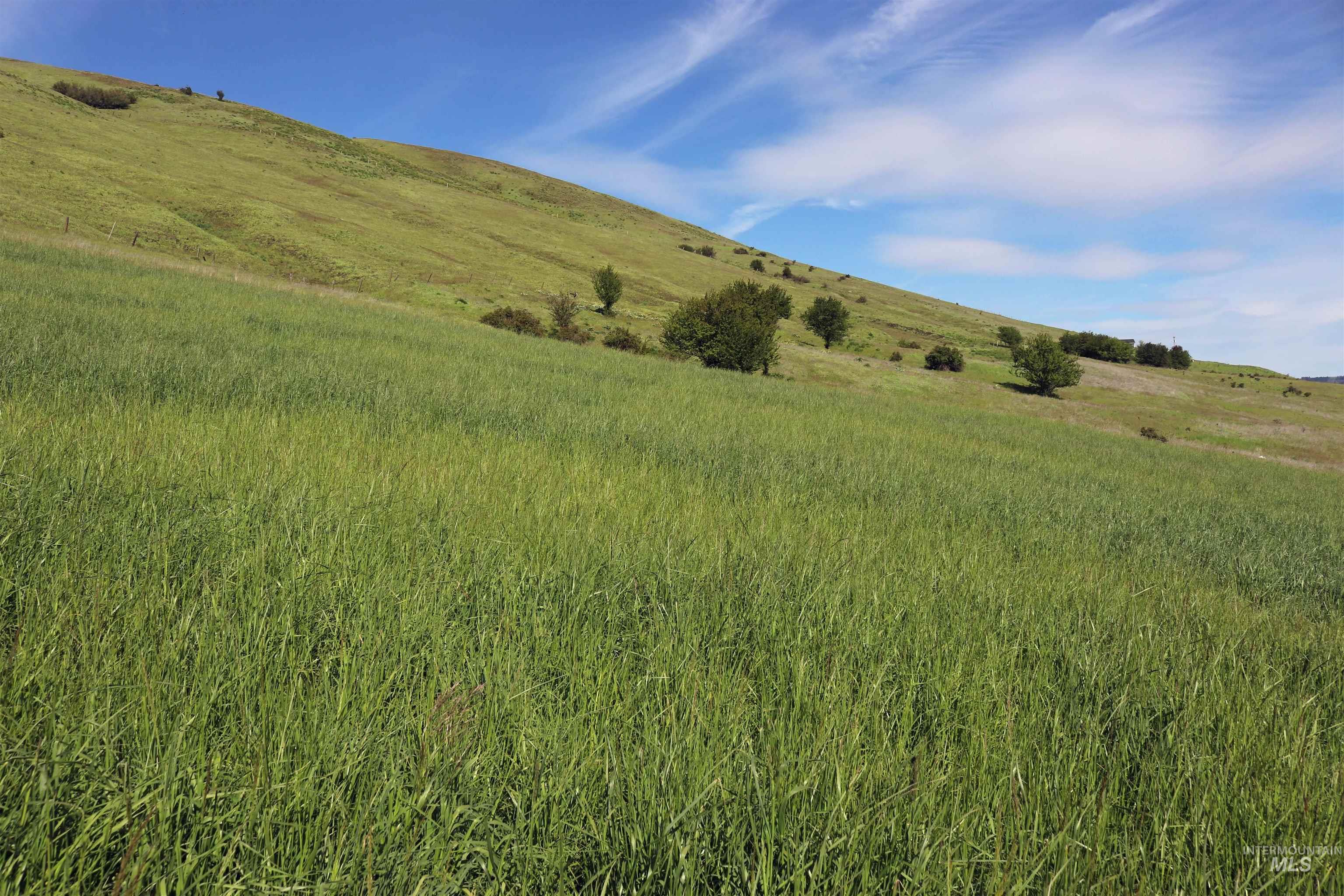 TBD Sunnyside Bench Road, Lenore, Idaho 83541, Land For Sale, Price $261,900,MLS 98937294