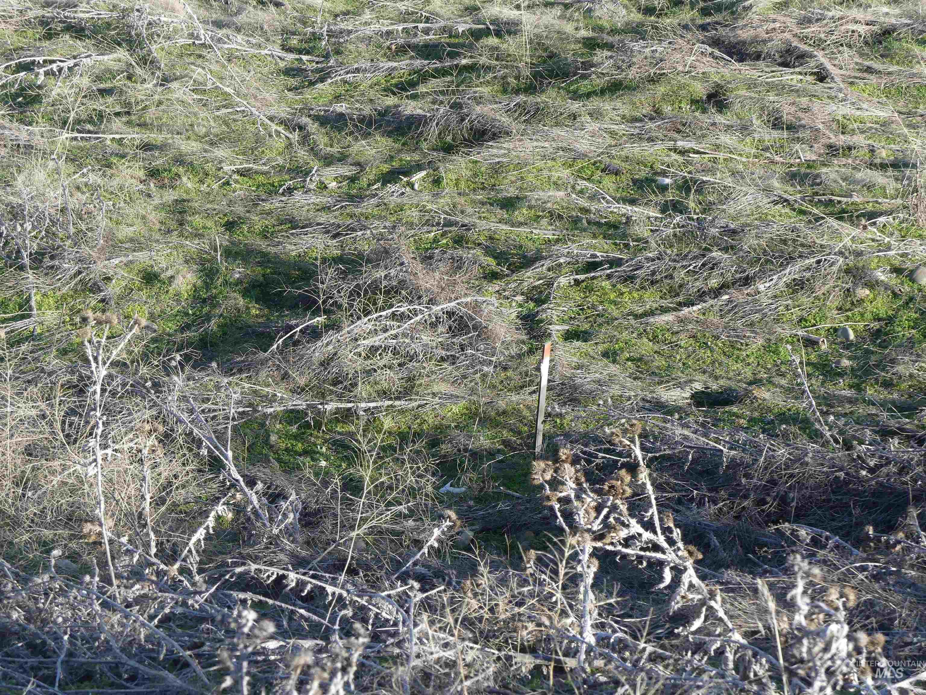 2987 Knollcrest Dr, Lewiston, Idaho 83501, Land For Sale, Price $88,000,MLS 98937436