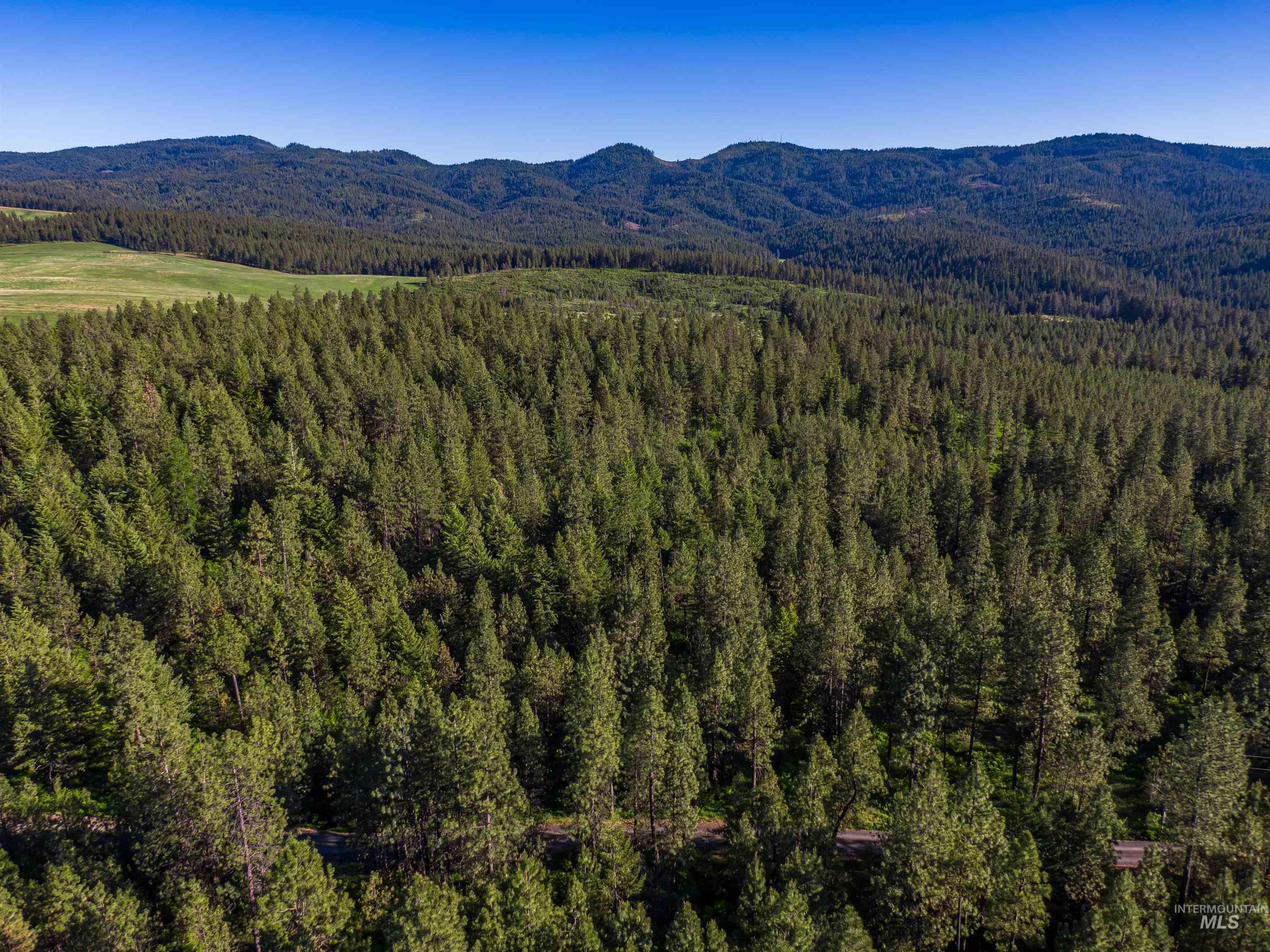 TBD Liberty Lane, Viola, Idaho 83872, Land For Sale, Price $349,000, 98937634