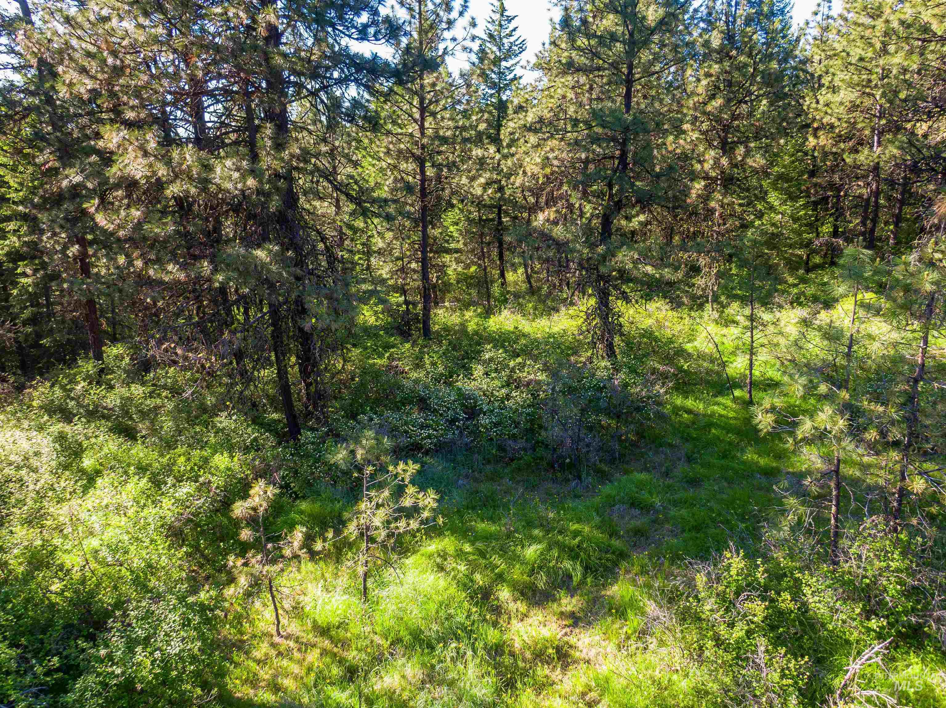 TBD Liberty Lane, Viola, Idaho 83872, Land For Sale, Price $349,000, 98937634