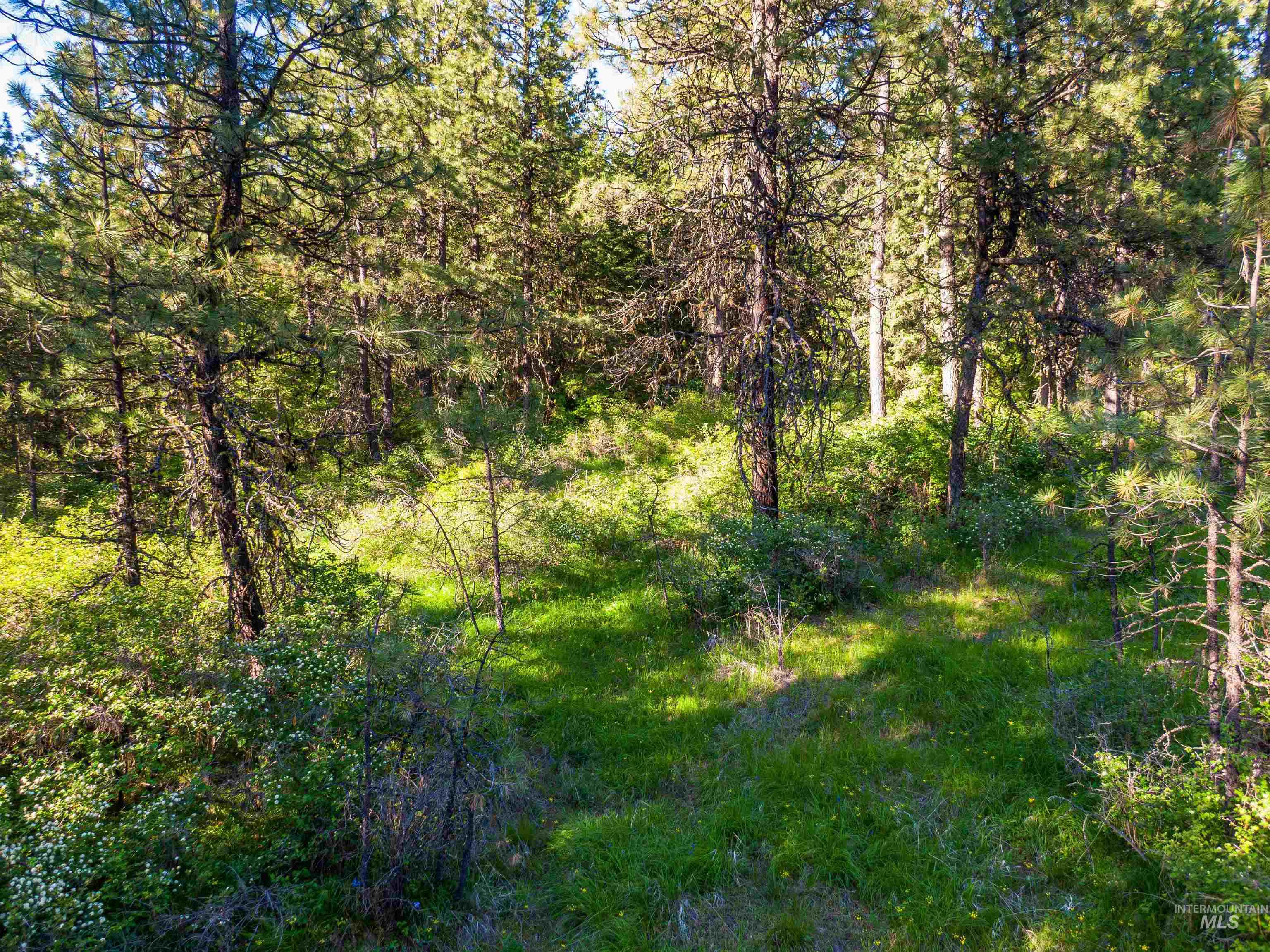 TBD Liberty Lane, Viola, Idaho 83872, Land For Sale, Price $349,000, 98937634