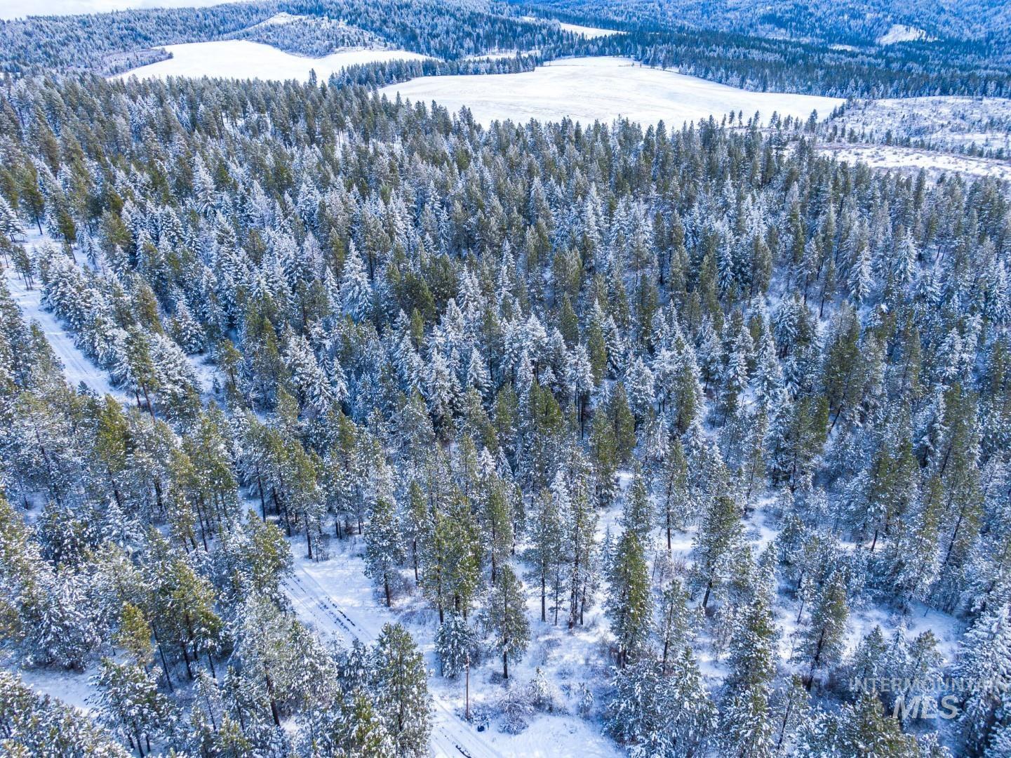 TBD Liberty Lane, Viola, Idaho 83872, Land For Sale, Price $349,000, 98937634