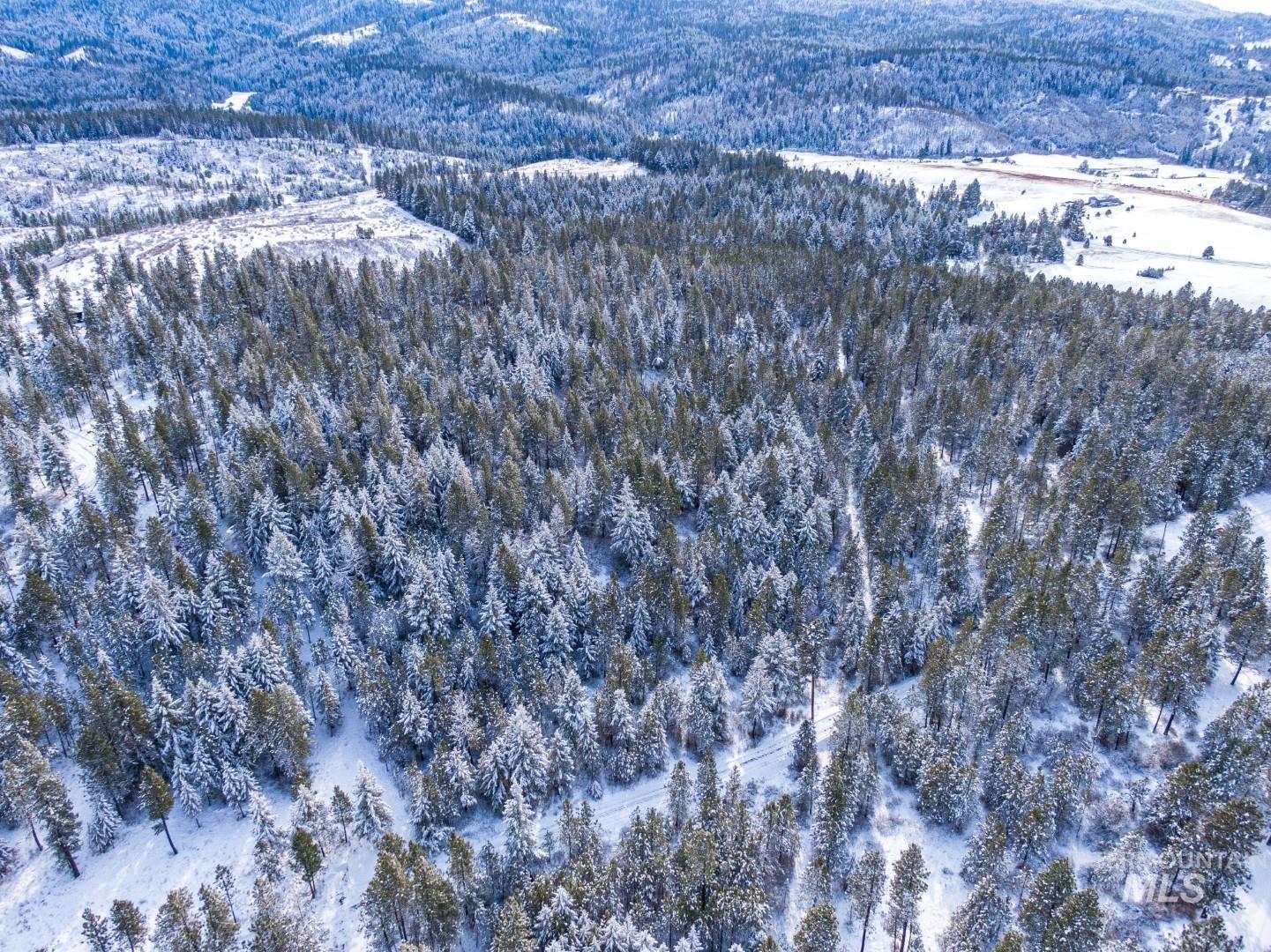 TBD Liberty Lane, Viola, Idaho 83872, Land For Sale, Price $349,000, 98937634