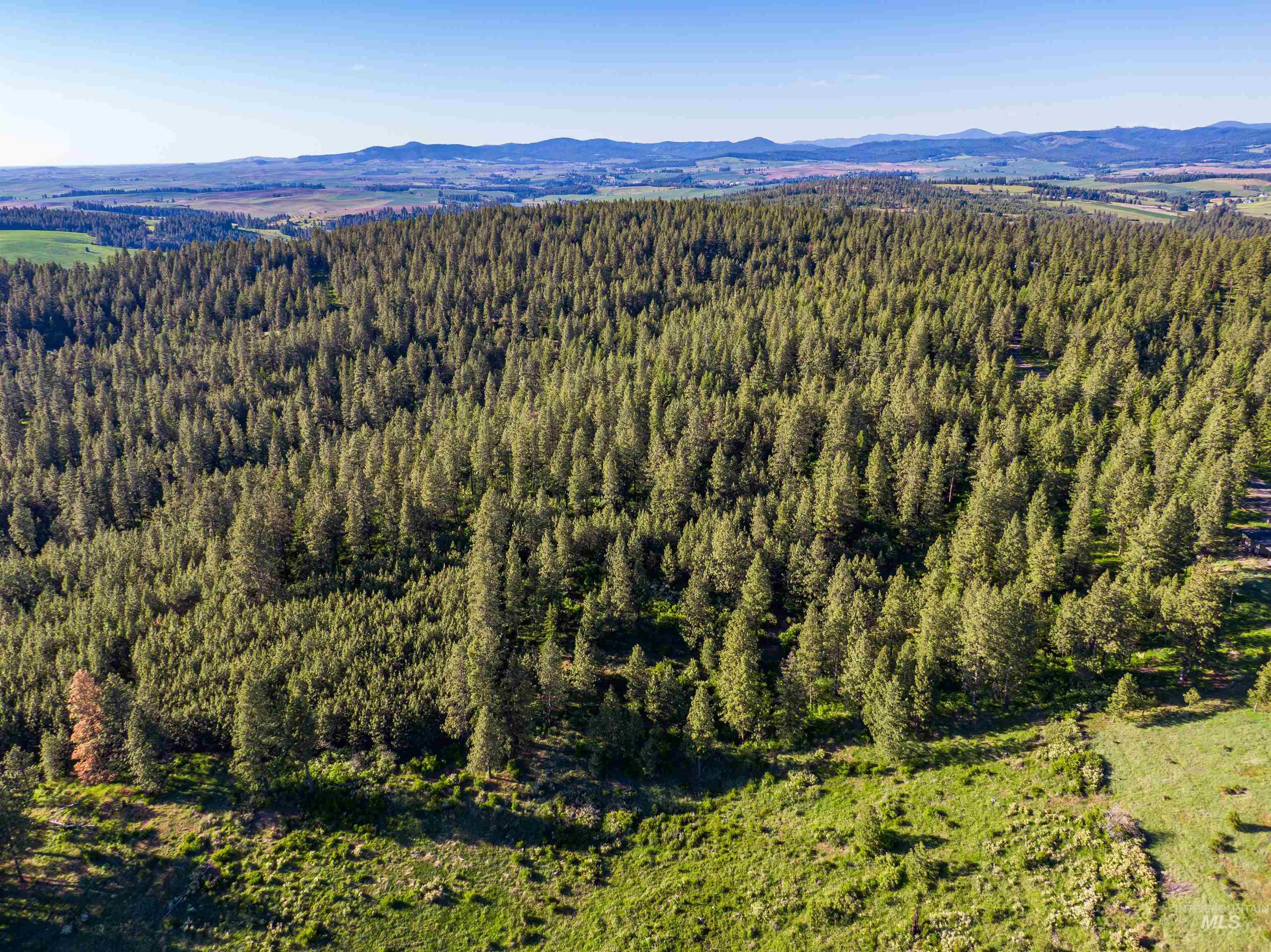 TBD Liberty Lane, Viola, Idaho 83872, Land For Sale, Price $349,000, 98937634