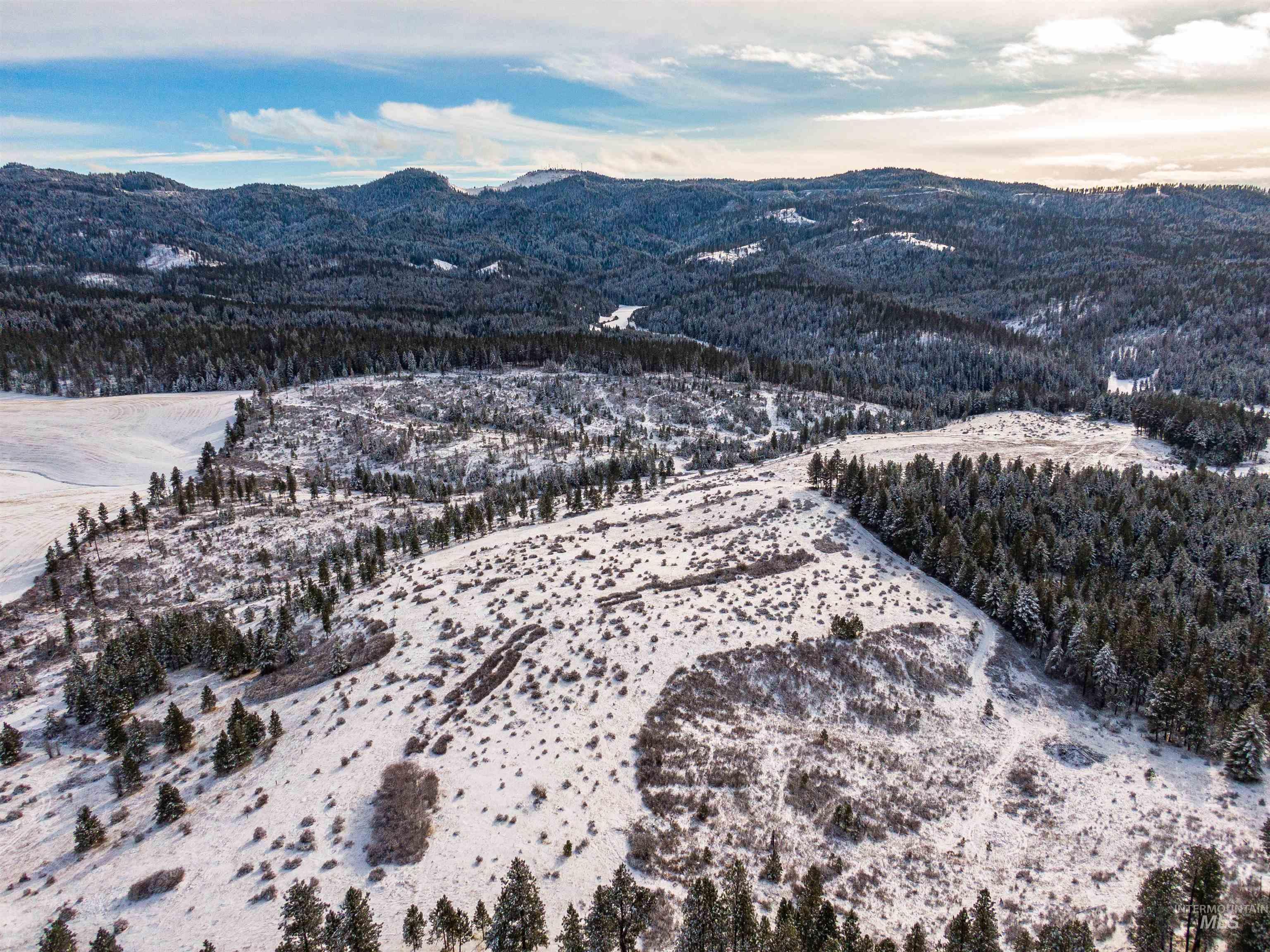 TBD Liberty Lane, Viola, Idaho 83872, Land For Sale, Price $349,000, 98937634