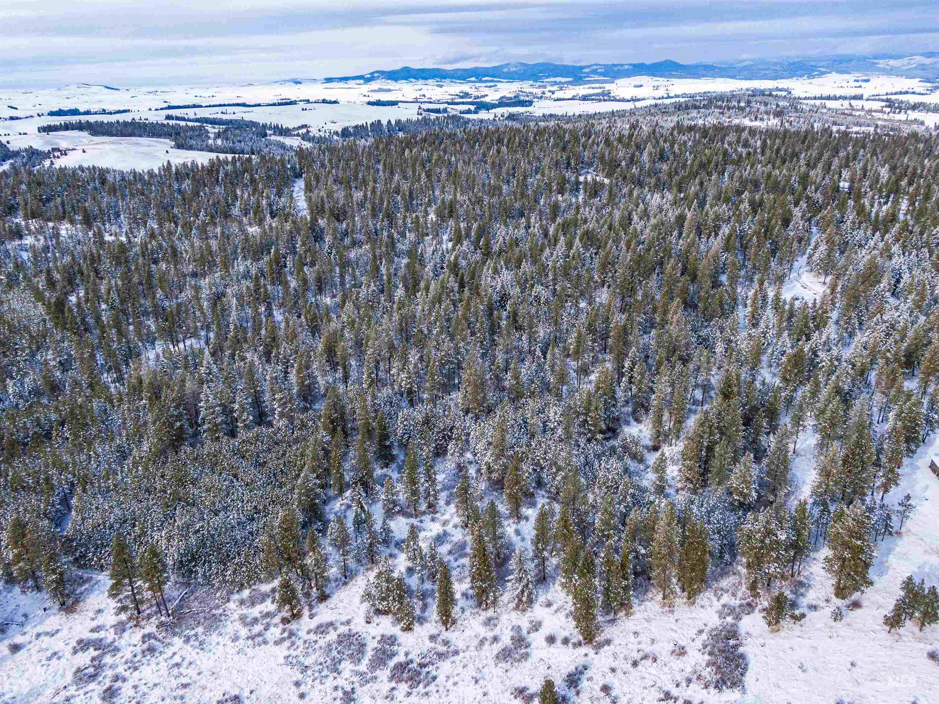 TBD Liberty Lane, Viola, Idaho 83872, Land For Sale, Price $349,000, 98937634