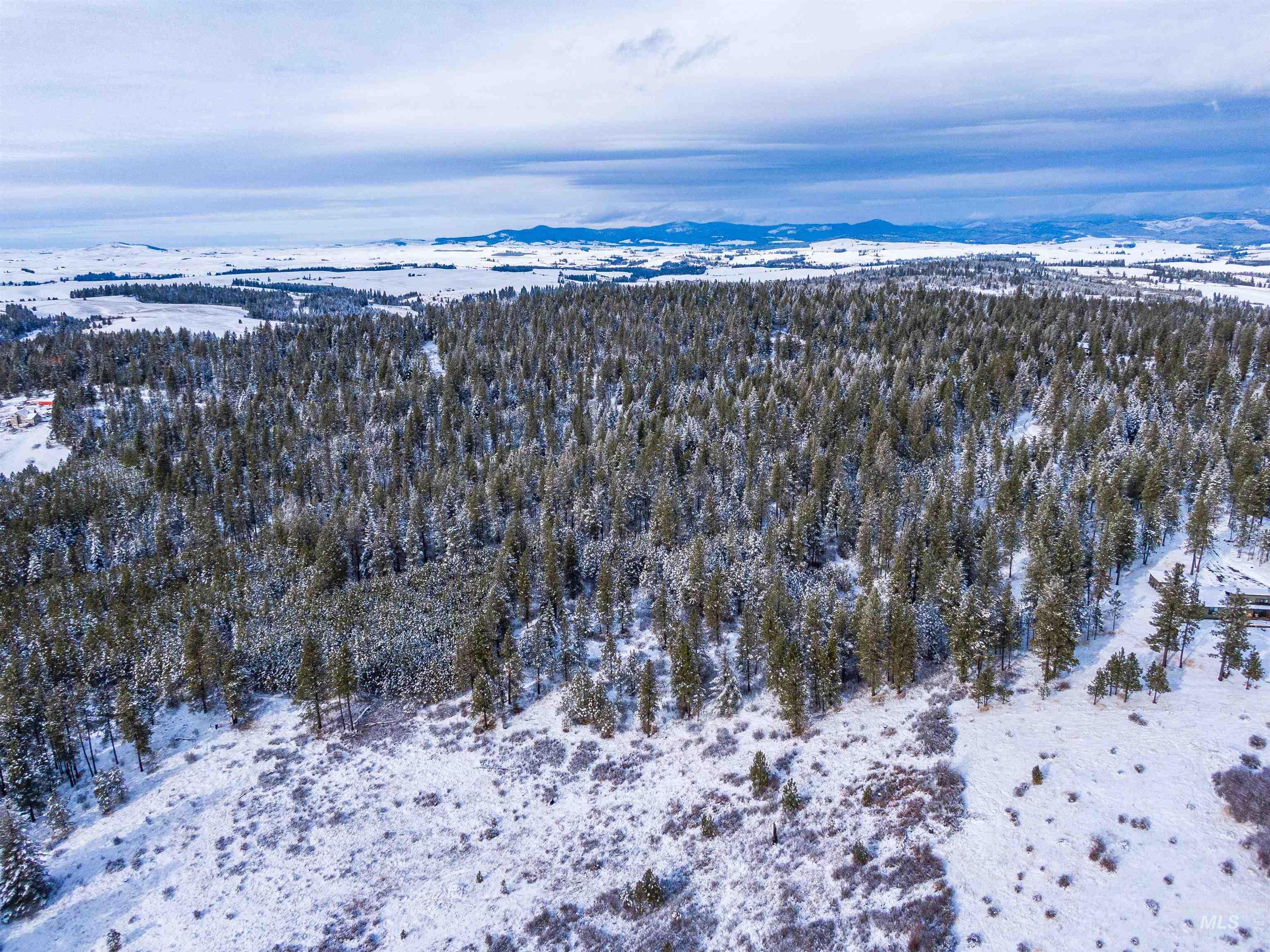TBD Liberty Lane, Viola, Idaho 83872, Land For Sale, Price $349,000, 98937634