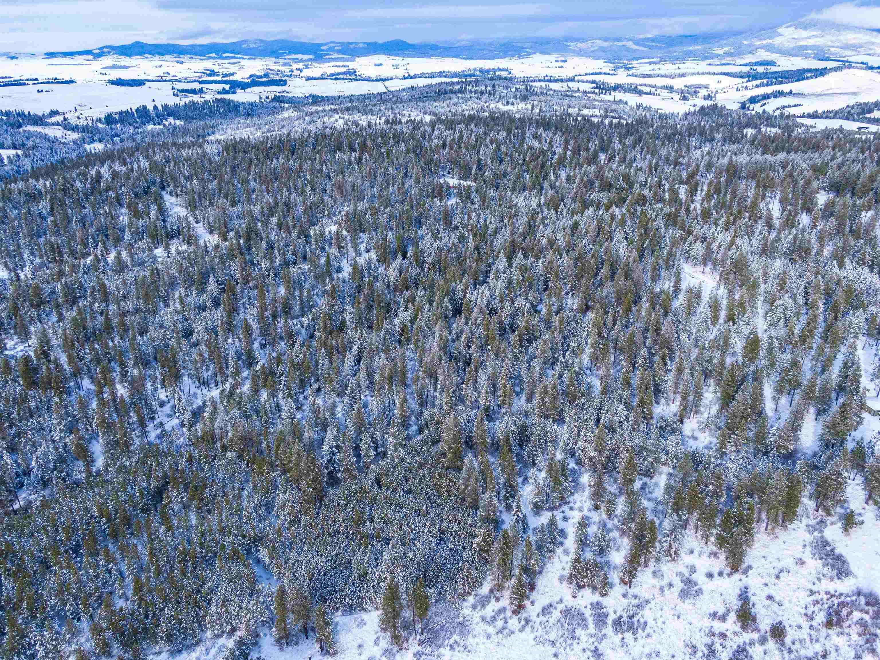 TBD Liberty Lane, Viola, Idaho 83872, Land For Sale, Price $349,000, 98937634