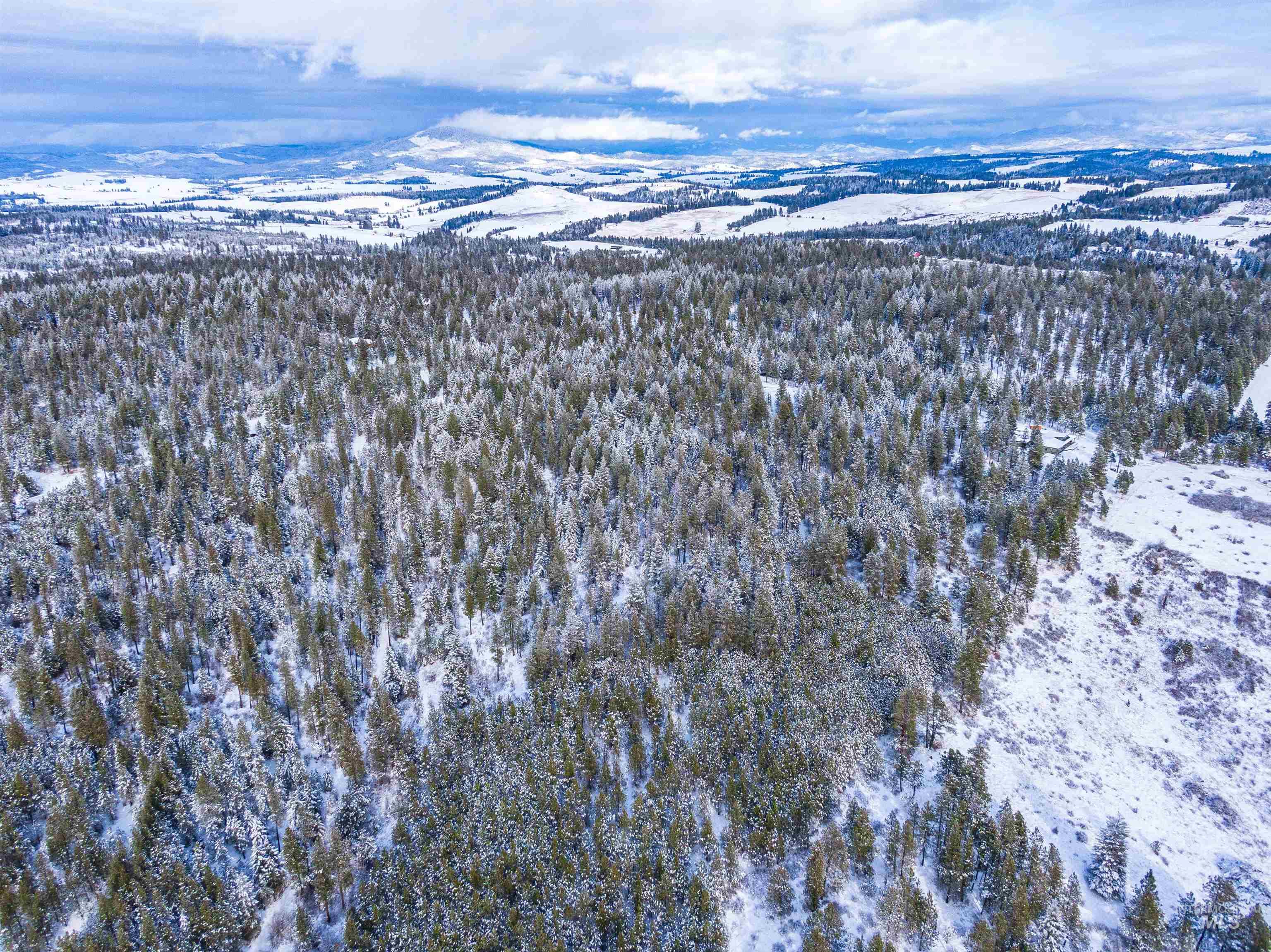 TBD Liberty Lane, Viola, Idaho 83872, Land For Sale, Price $349,000, 98937634