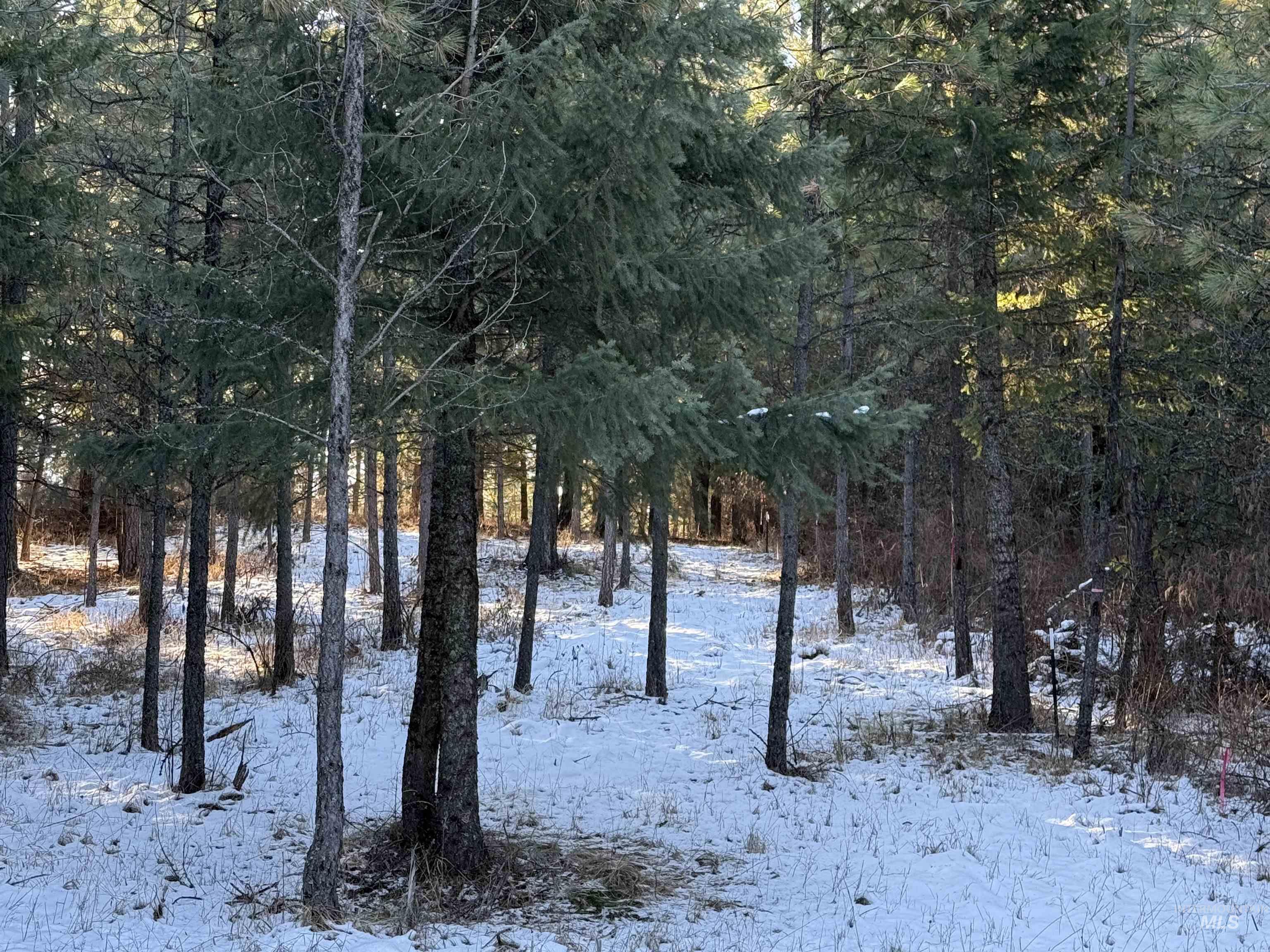 TBD Liberty Lane, Viola, Idaho 83872, Land For Sale, Price $349,000, 98937634