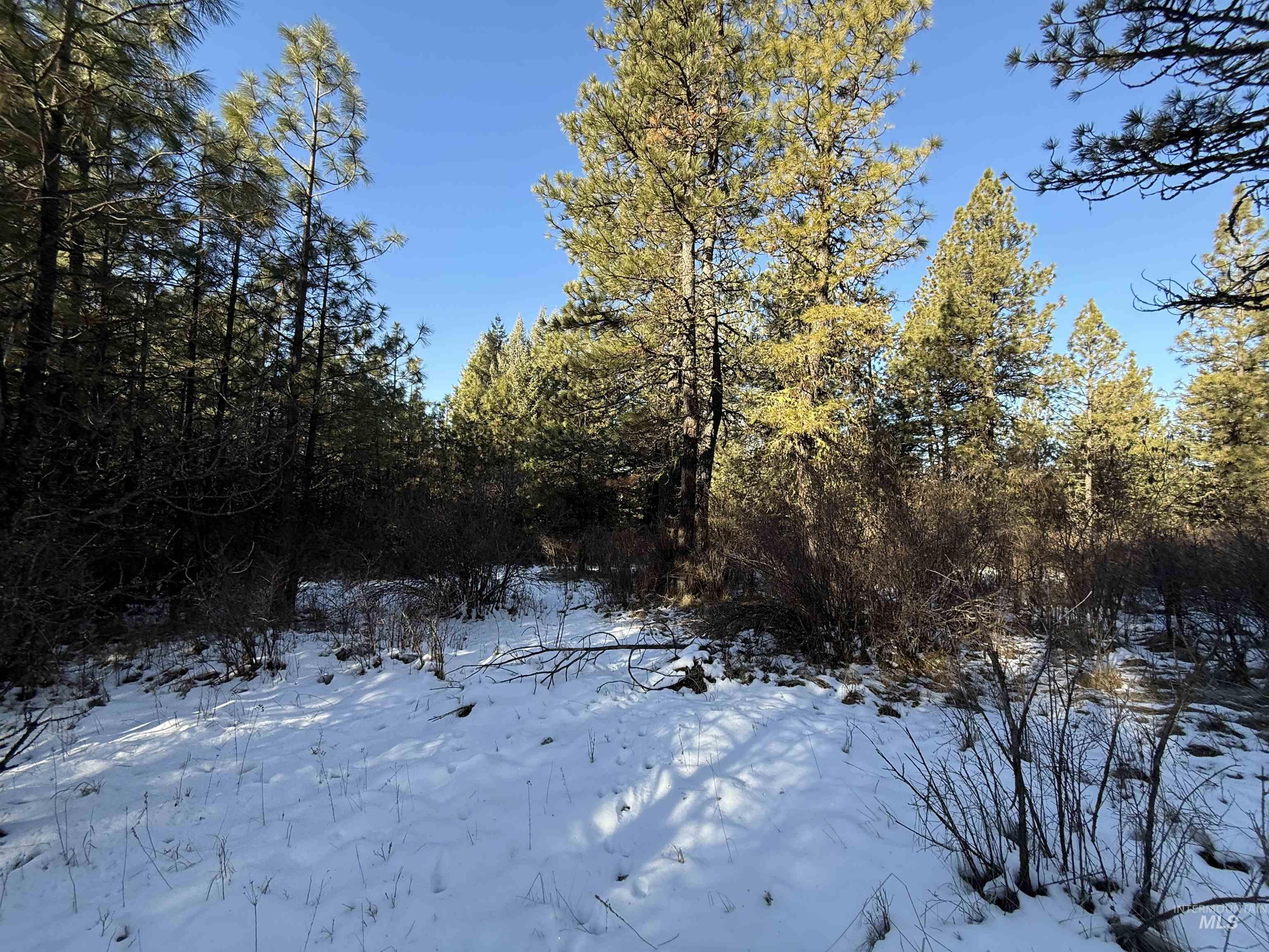 TBD Liberty Lane, Viola, Idaho 83872, Land For Sale, Price $349,000, 98937634