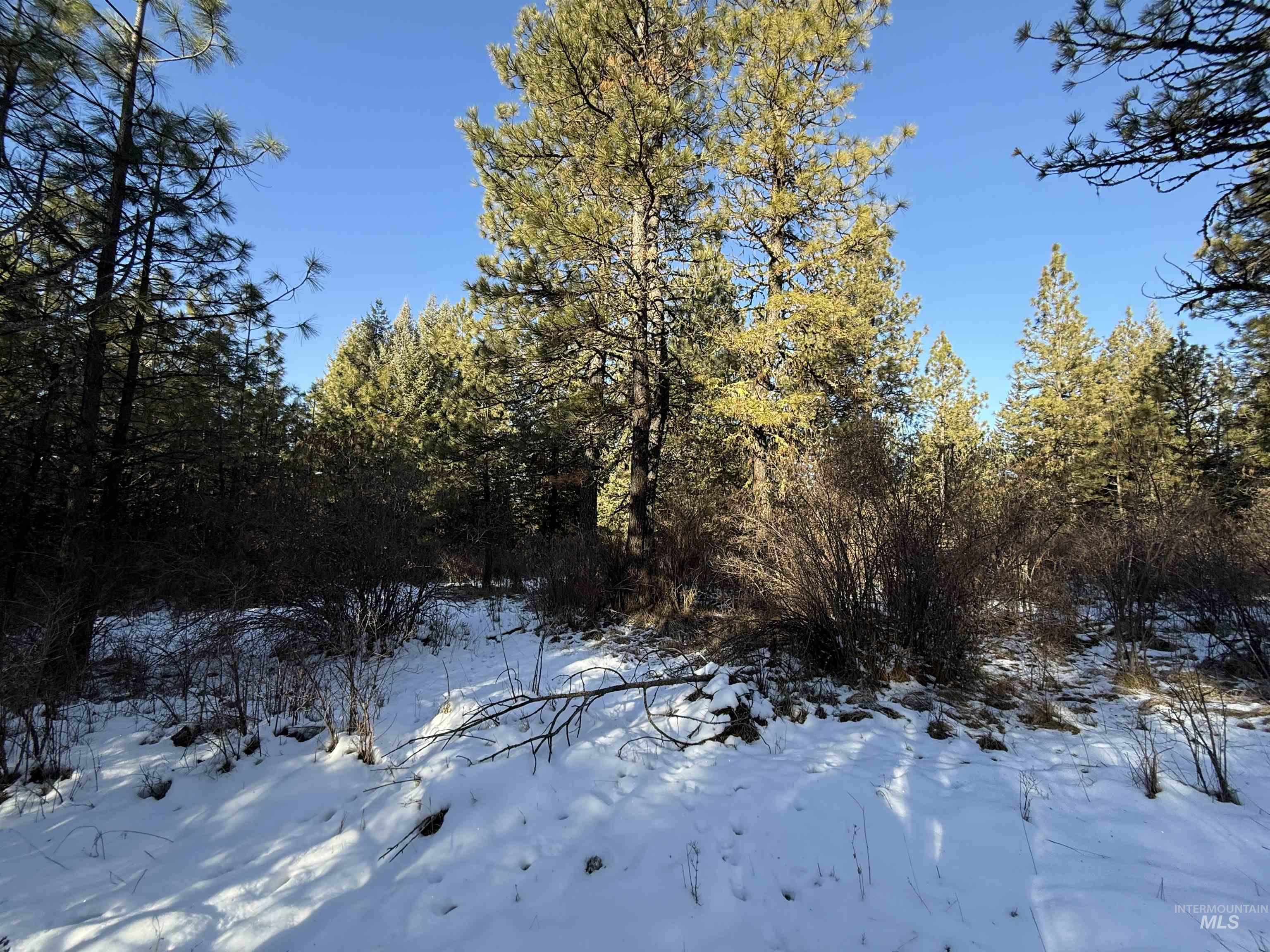 TBD Liberty Lane, Viola, Idaho 83872, Land For Sale, Price $349,000, 98937634