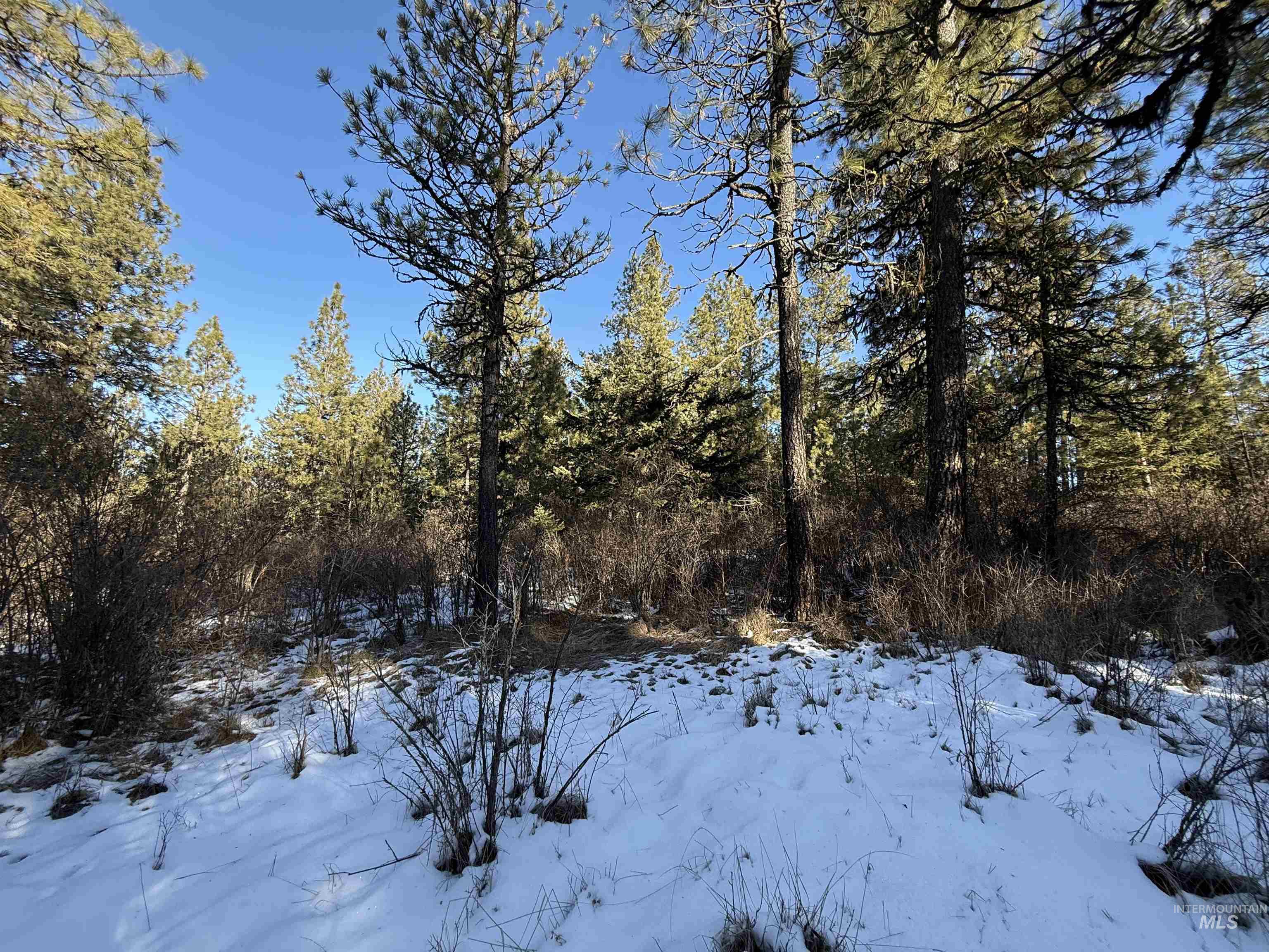 TBD Liberty Lane, Viola, Idaho 83872, Land For Sale, Price $349,000, 98937634