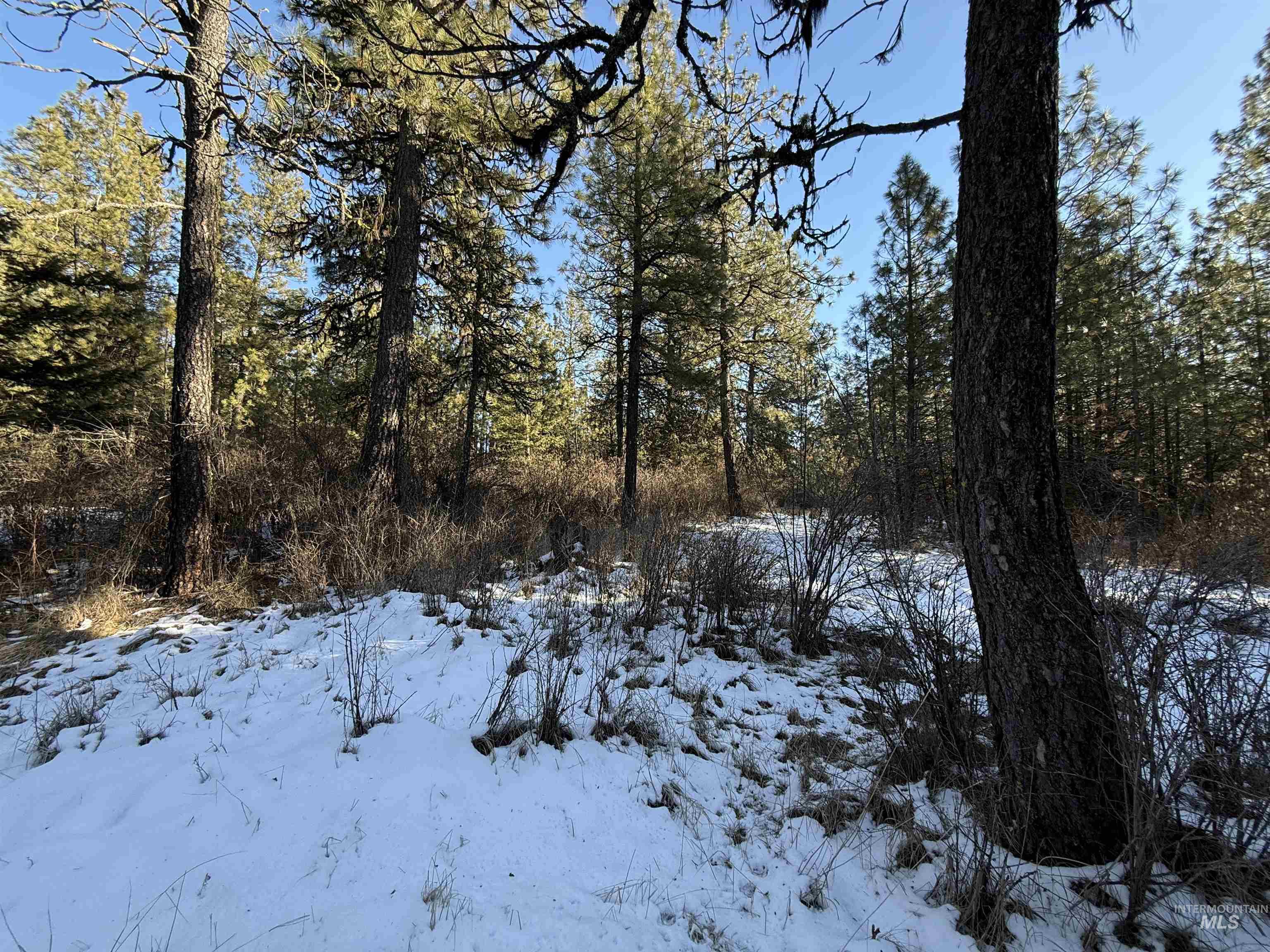 TBD Liberty Lane, Viola, Idaho 83872, Land For Sale, Price $349,000, 98937634