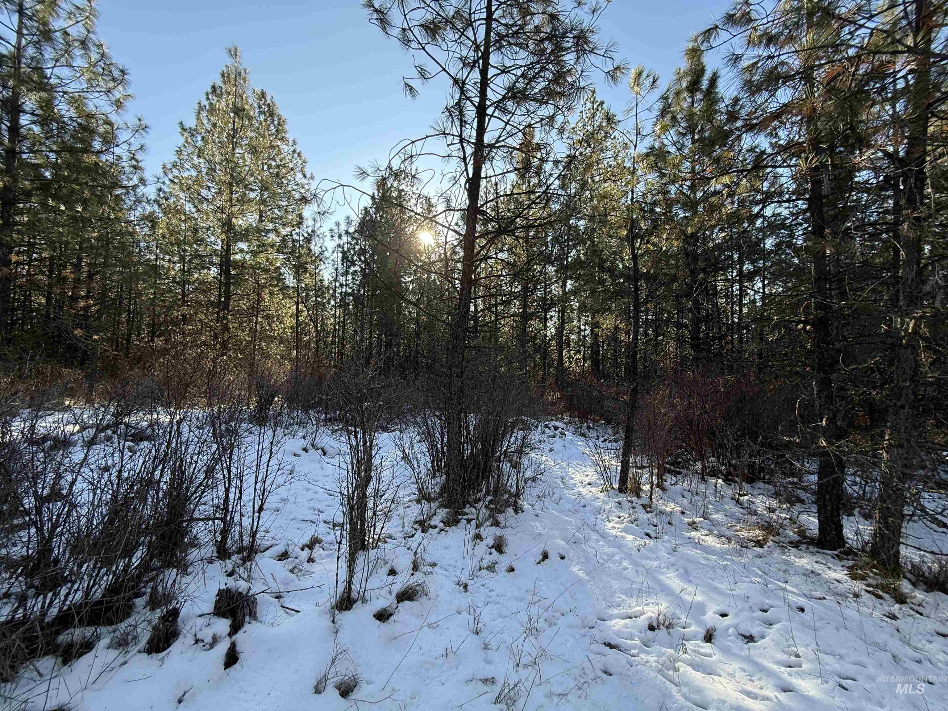 TBD Liberty Lane, Viola, Idaho 83872, Land For Sale, Price $349,000, 98937634