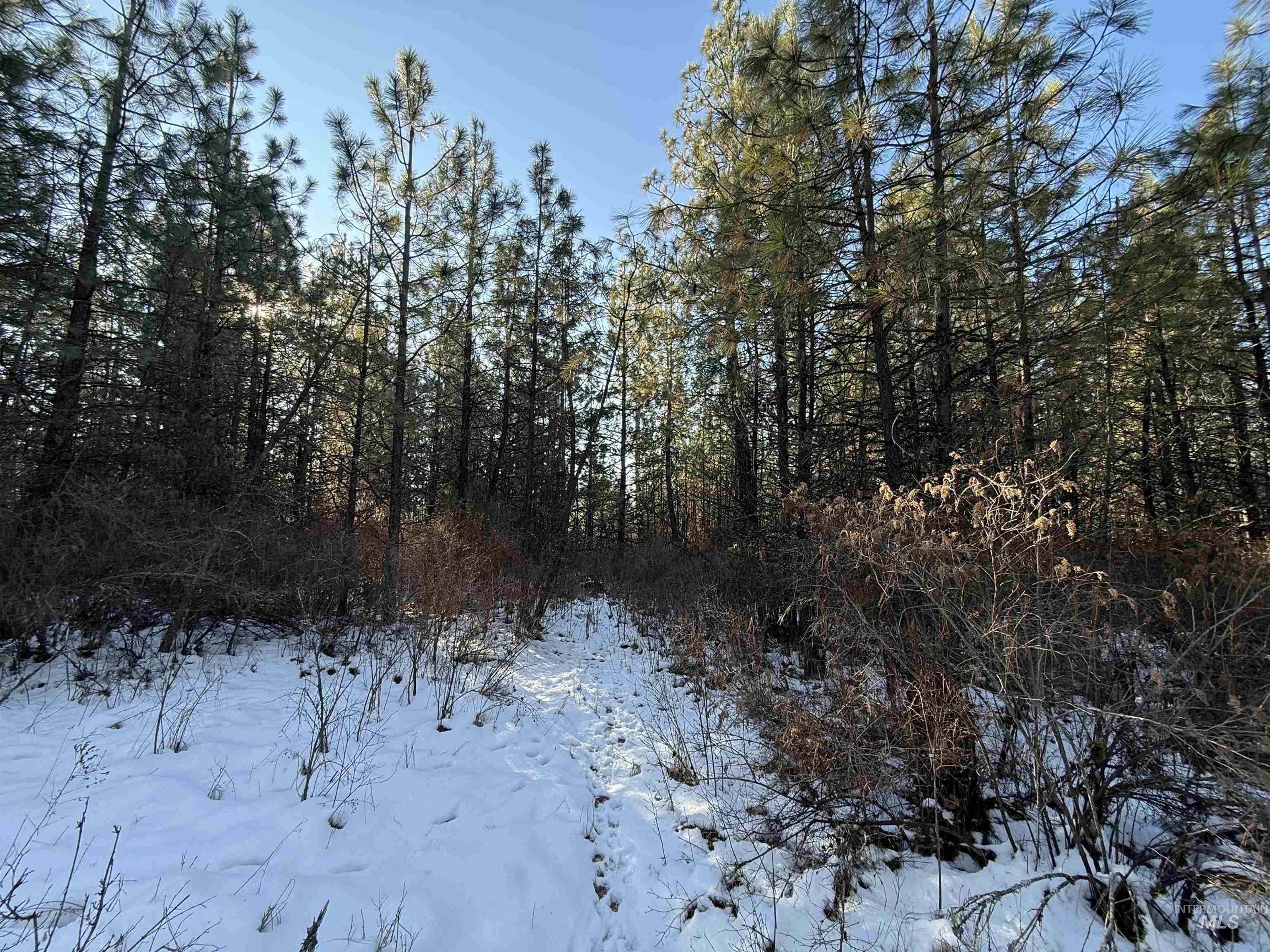 TBD Liberty Lane, Viola, Idaho 83872, Land For Sale, Price $349,000, 98937634