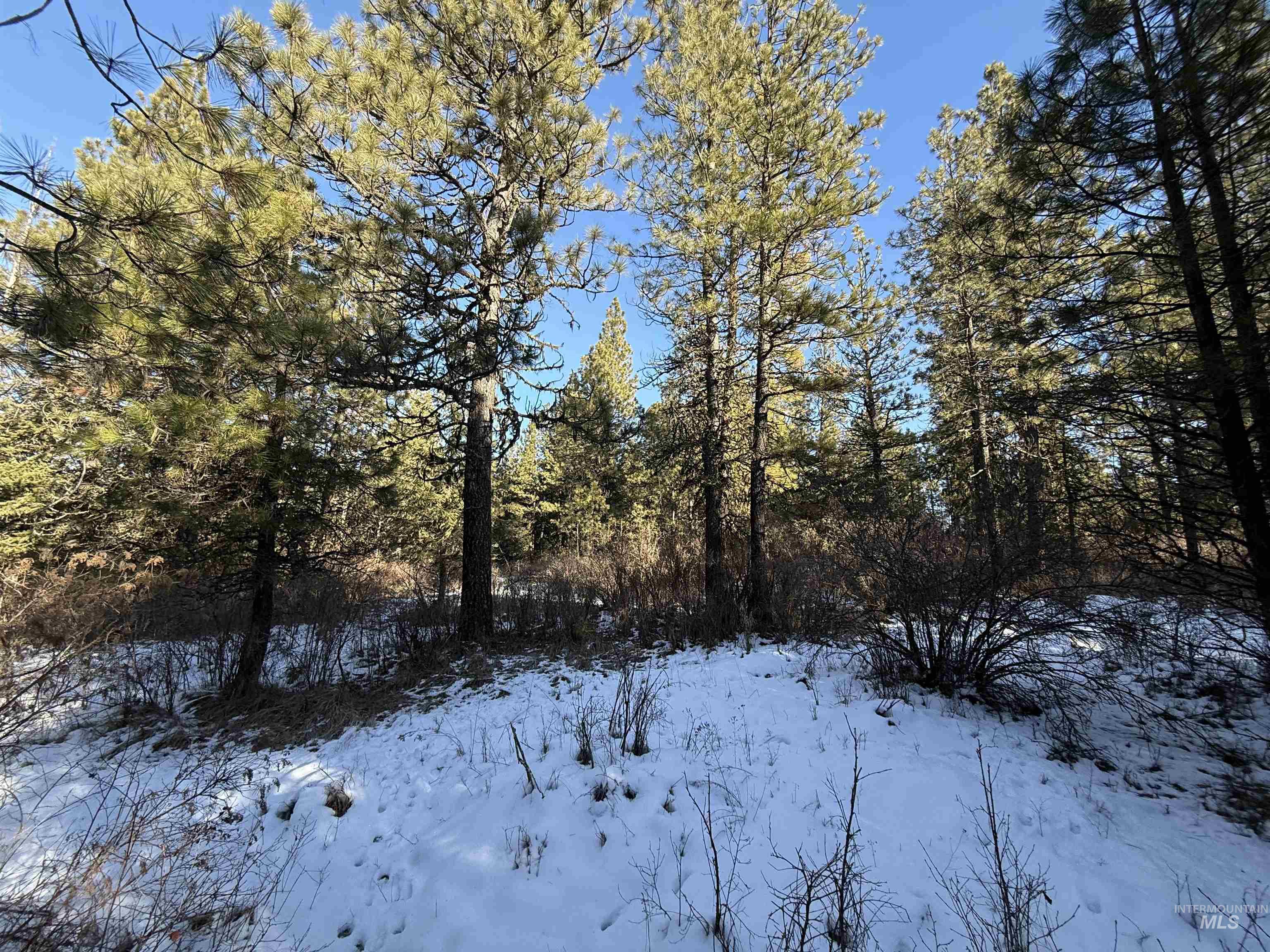 TBD Liberty Lane, Viola, Idaho 83872, Land For Sale, Price $349,000, 98937634