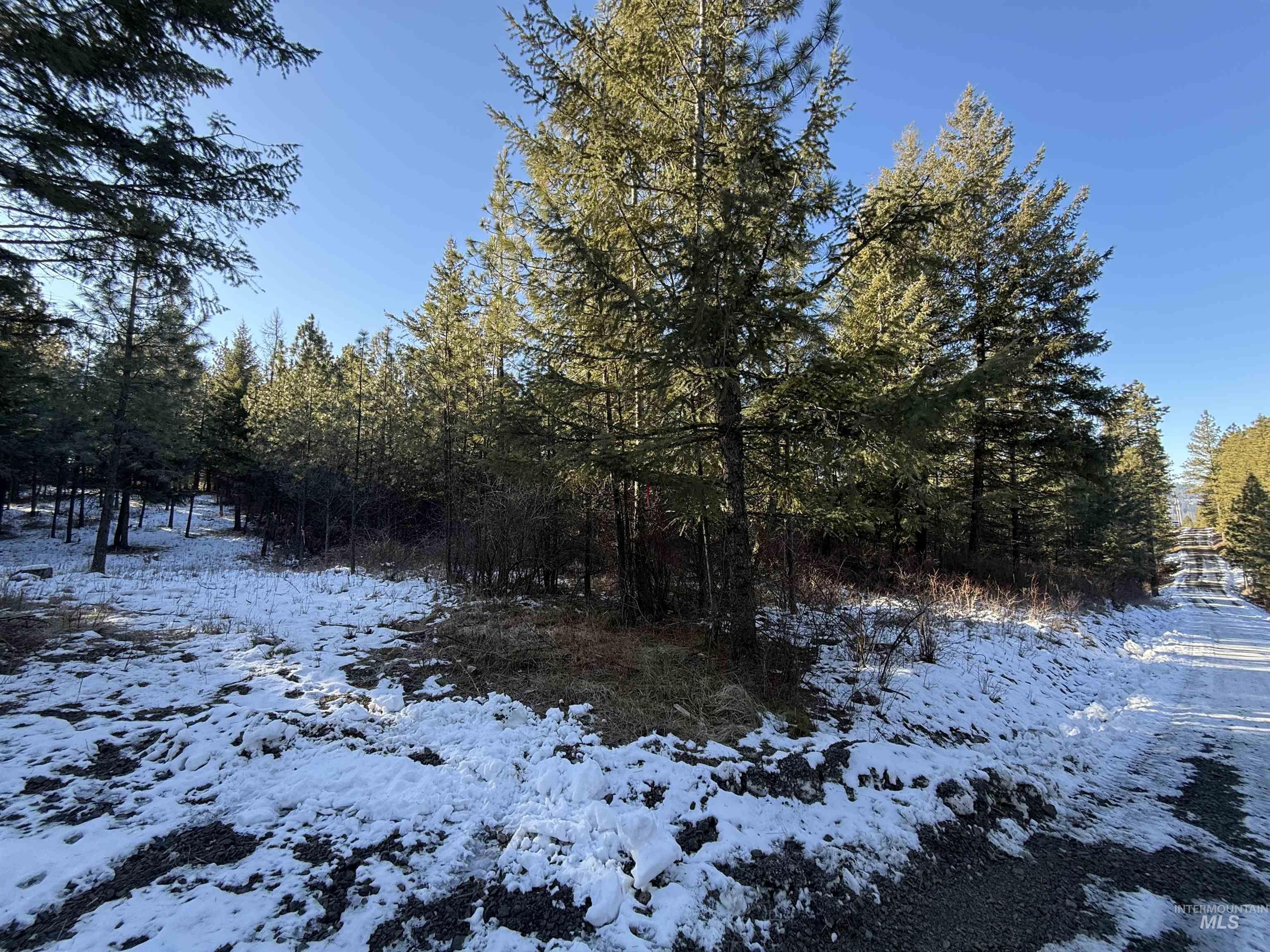 TBD Liberty Lane, Viola, Idaho 83872, Land For Sale, Price $349,000, 98937634