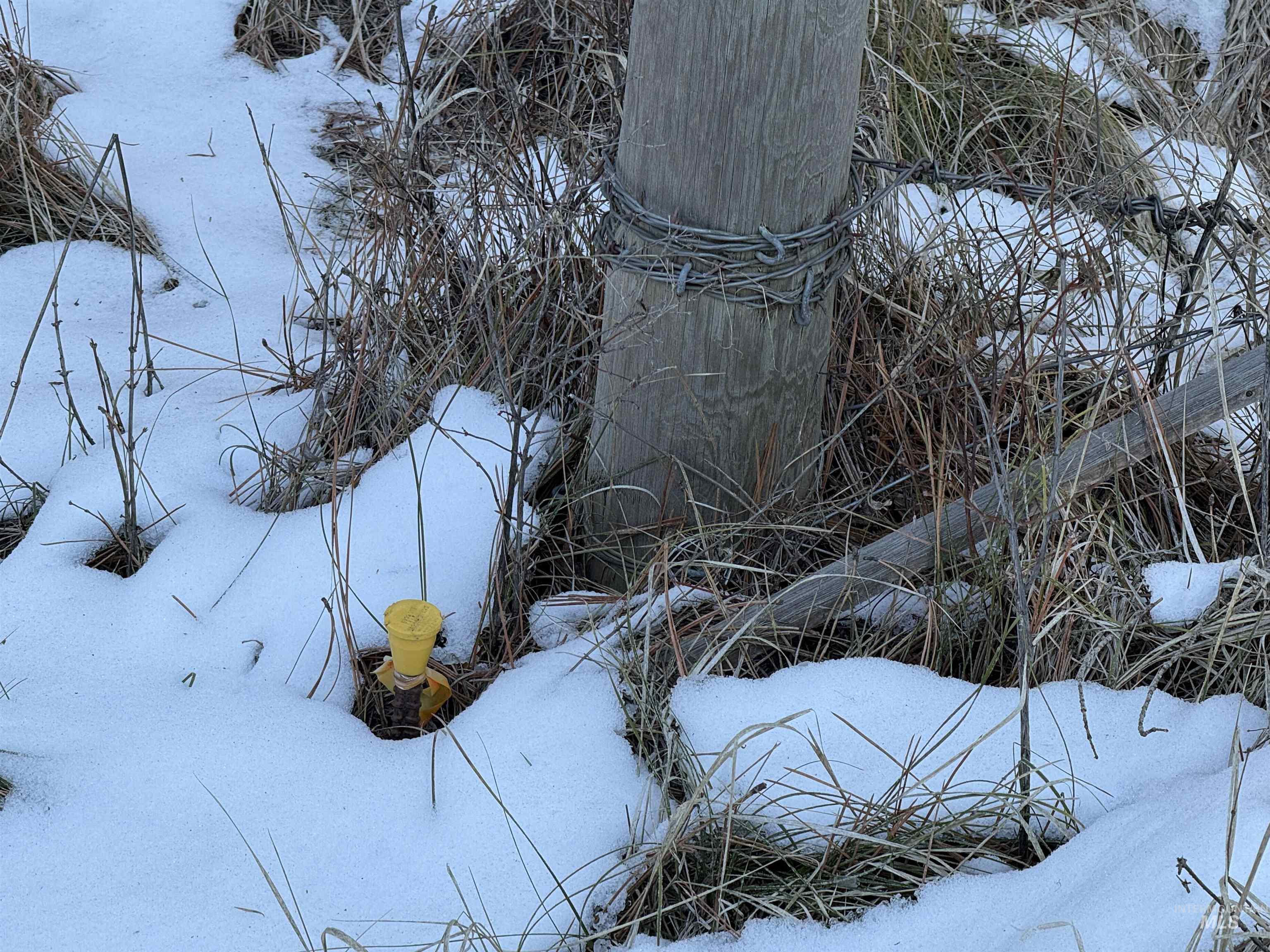 TBD Liberty Lane, Viola, Idaho 83872, Land For Sale, Price $349,000, 98937634