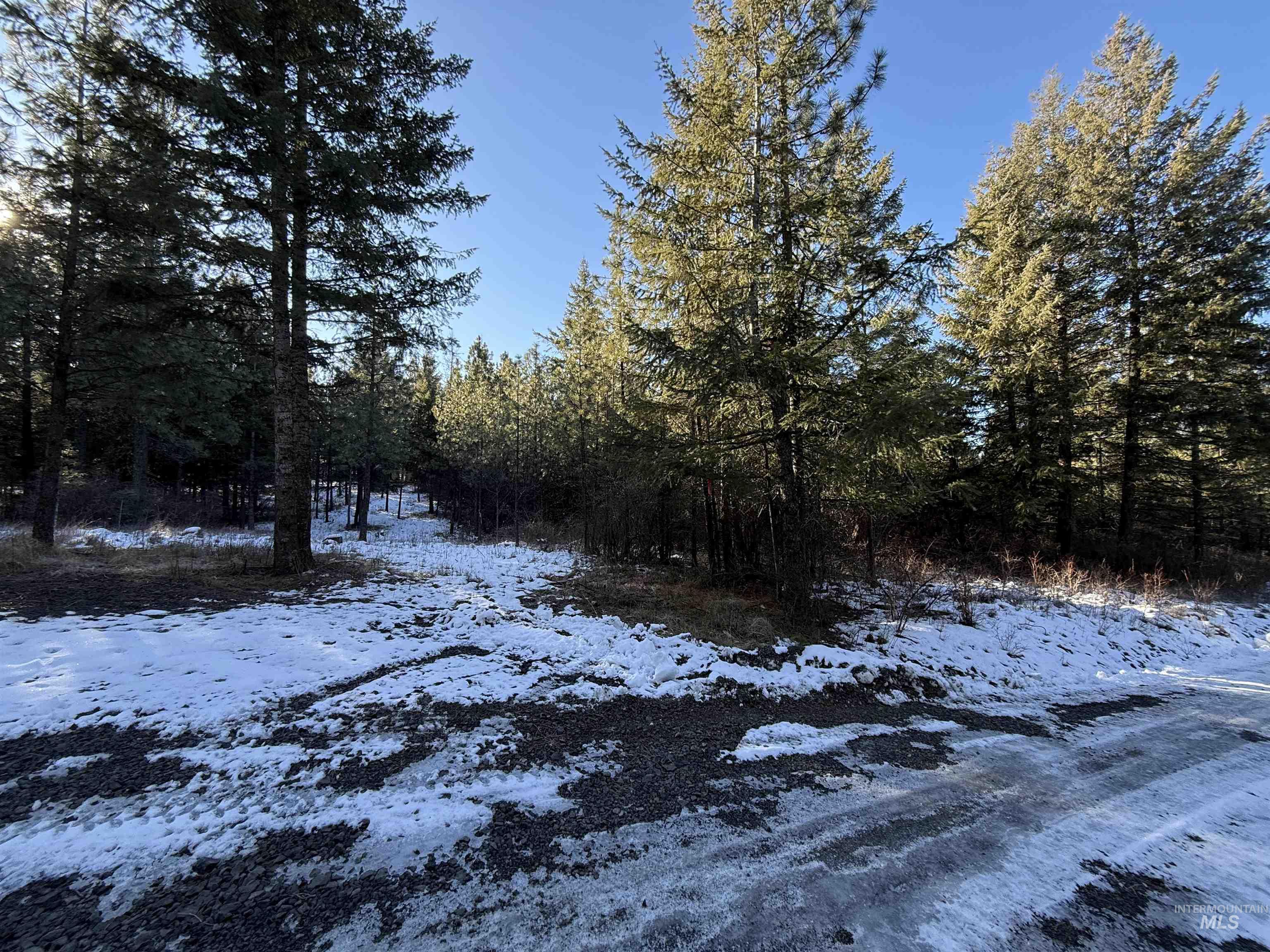 TBD Liberty Lane, Viola, Idaho 83872, Land For Sale, Price $349,000, 98937634