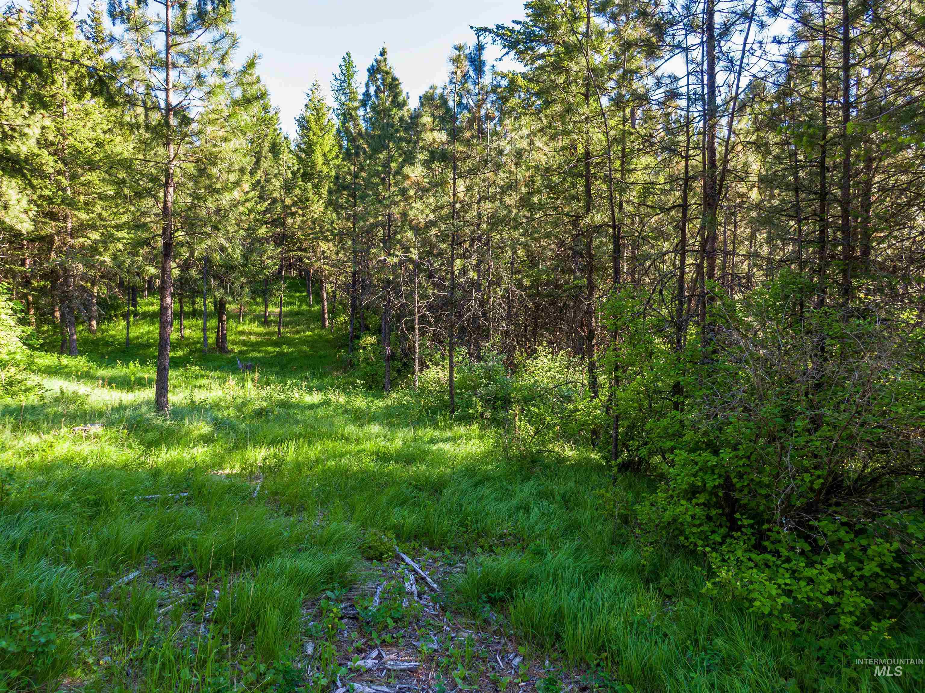 TBD Liberty Lane, Viola, Idaho 83872, Land For Sale, Price $349,000, 98937634