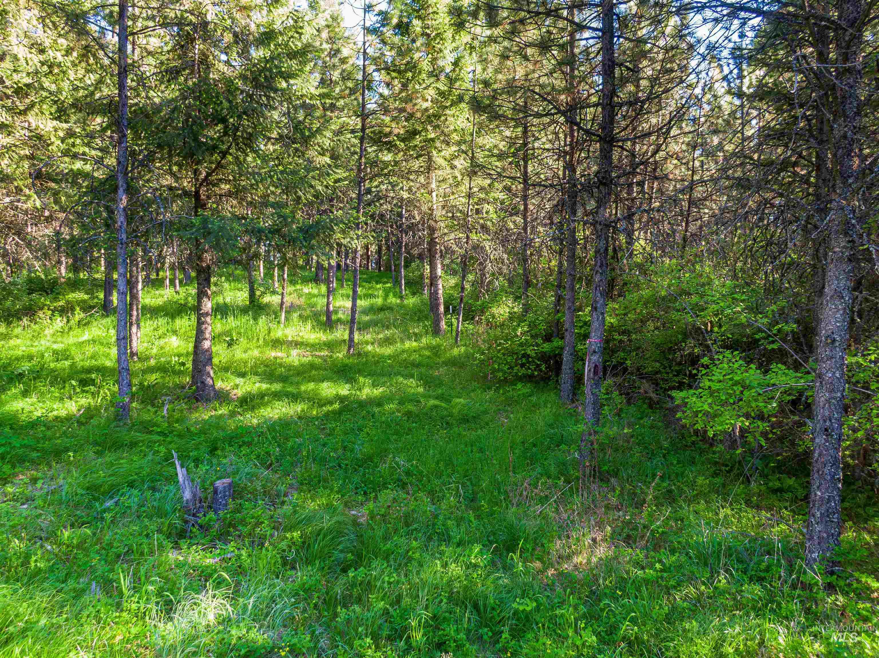 TBD Liberty Lane, Viola, Idaho 83872, Land For Sale, Price $349,000, 98937634
