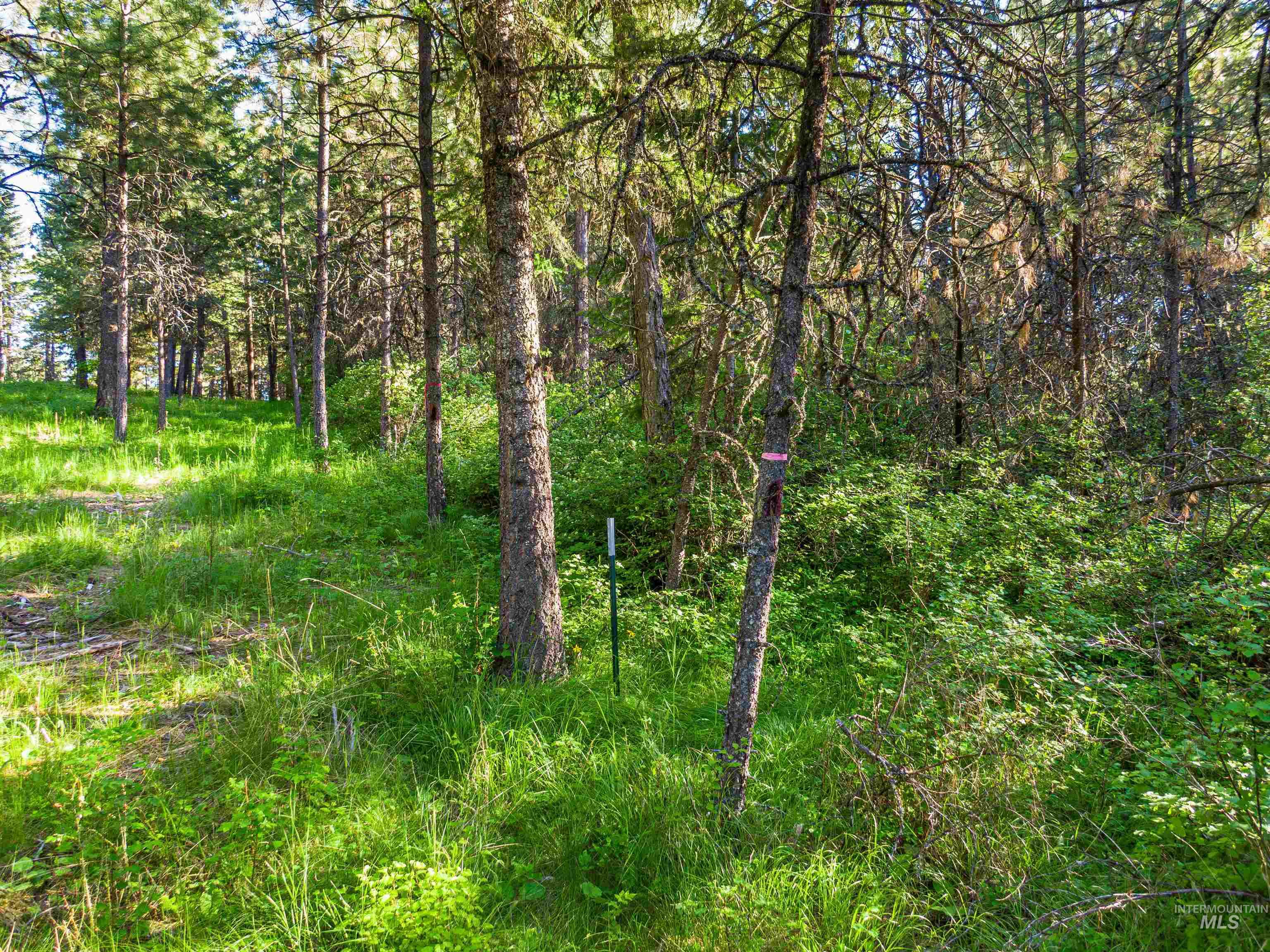 TBD Liberty Lane, Viola, Idaho 83872, Land For Sale, Price $349,000, 98937634