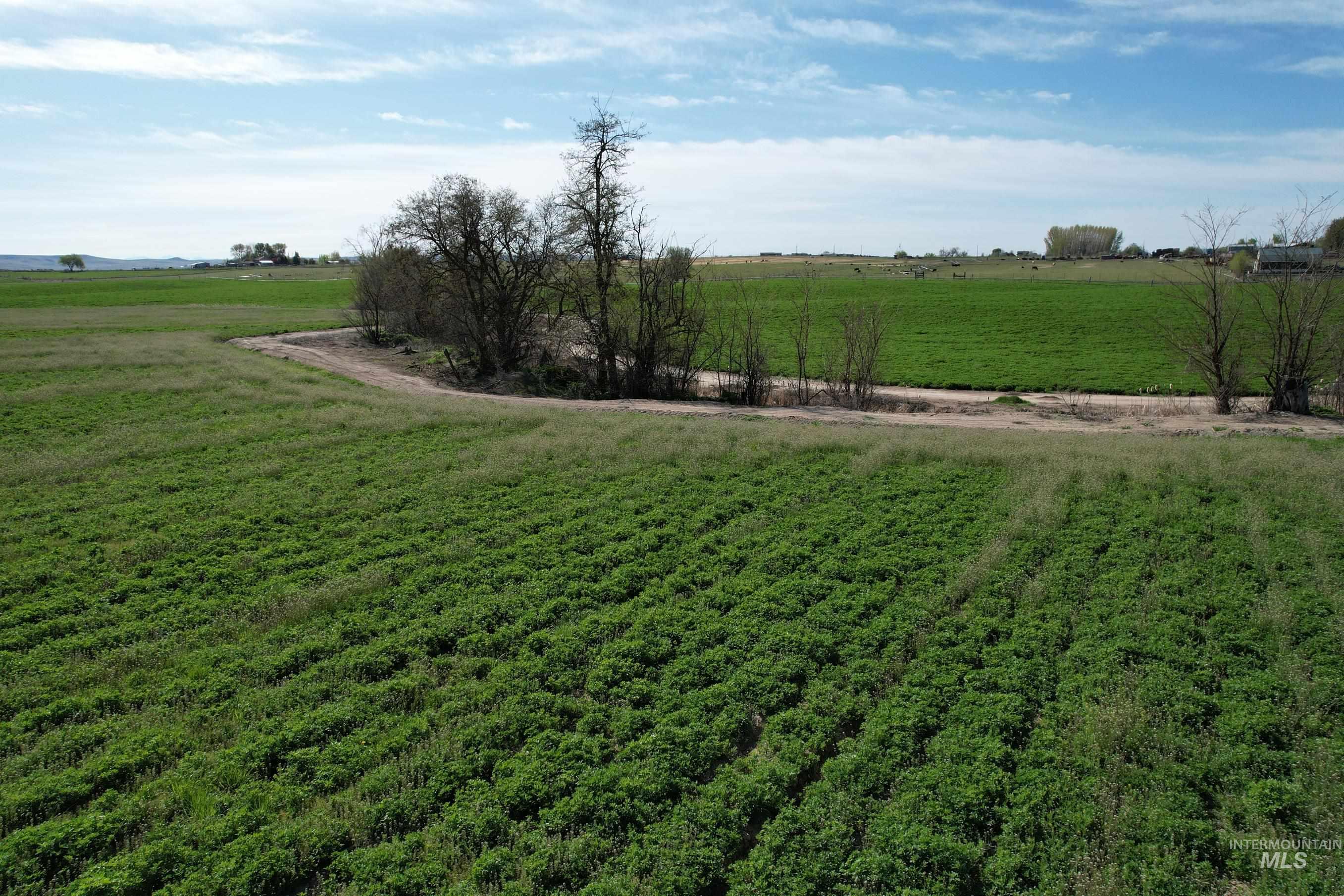 TBD Kimball Road, Ontario, Oregon 97914, Land For Sale, Price $792,000, 98937758