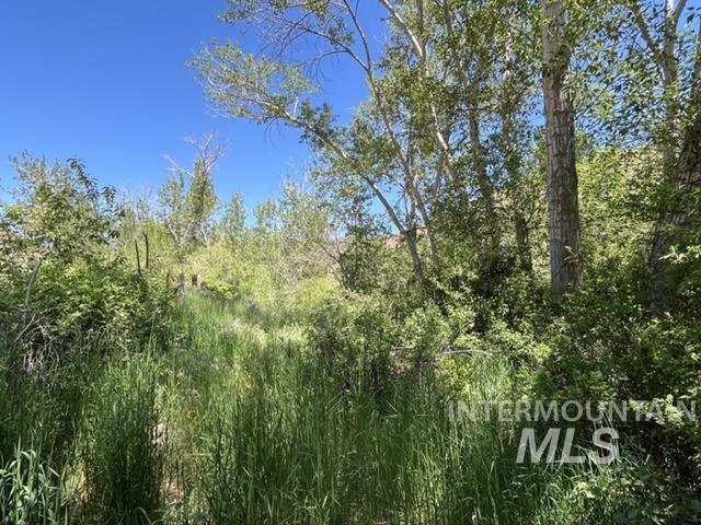 TBD NE Syrup Creek Rd., Mountain Home, Idaho 83647, Land For Sale, Price $320,000,MLS 98937808