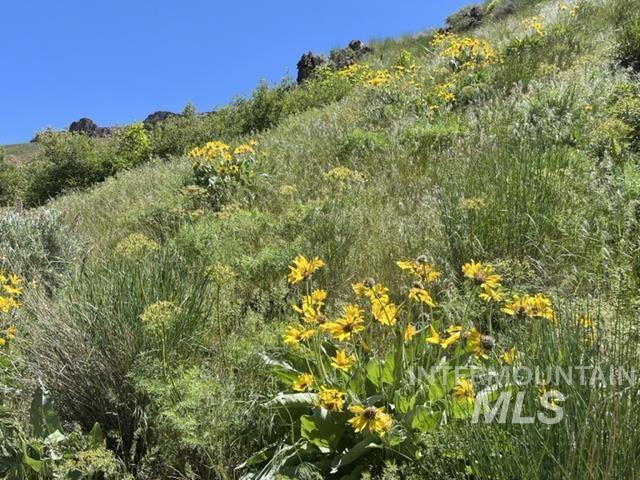 TBD NE Syrup Creek Rd., Mountain Home, Idaho 83647, Land For Sale, Price $320,000,MLS 98937808