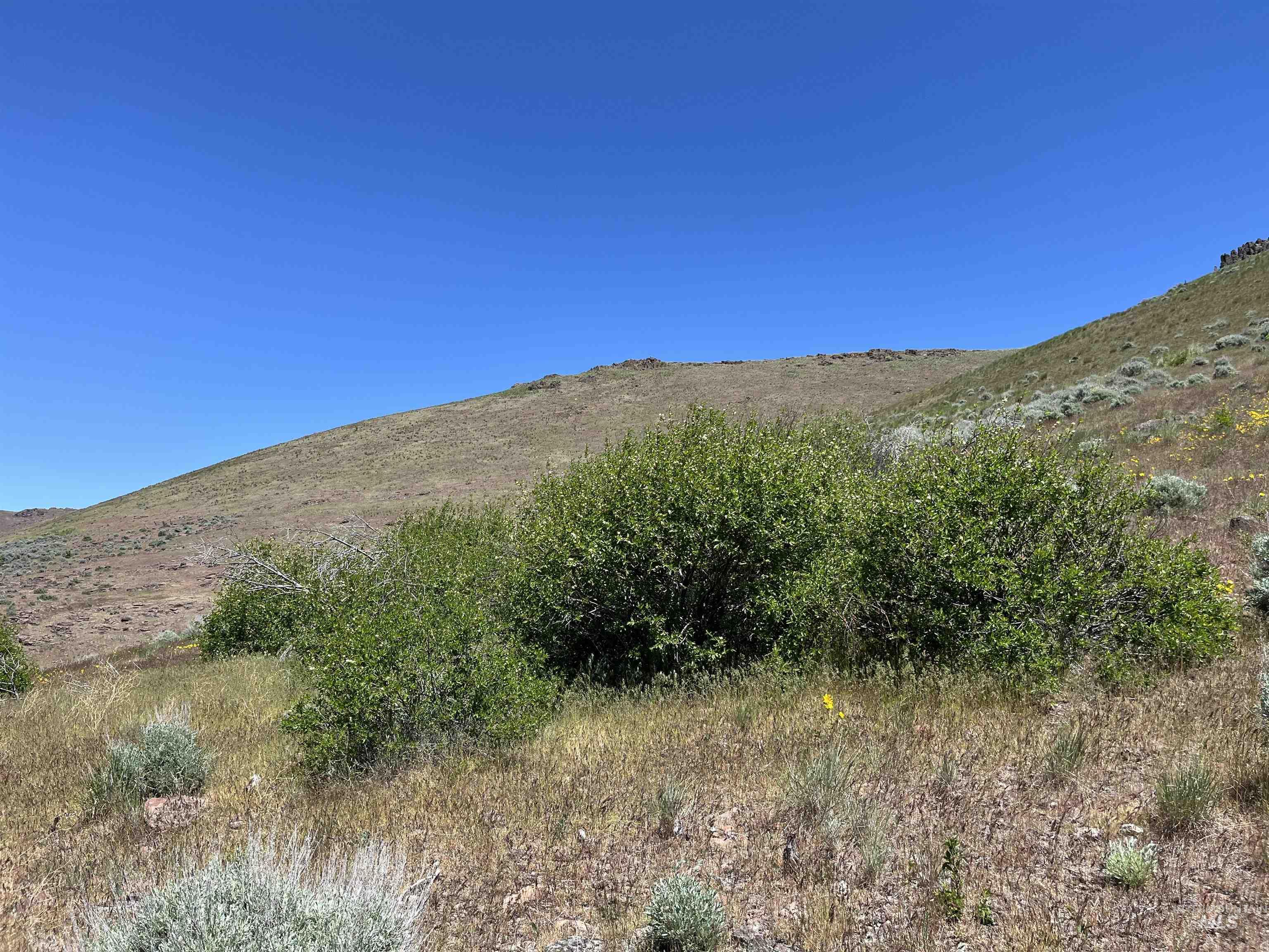 TBD NE Syrup Creek Rd., Mountain Home, Idaho 83647, Land For Sale, Price $320,000,MLS 98937808