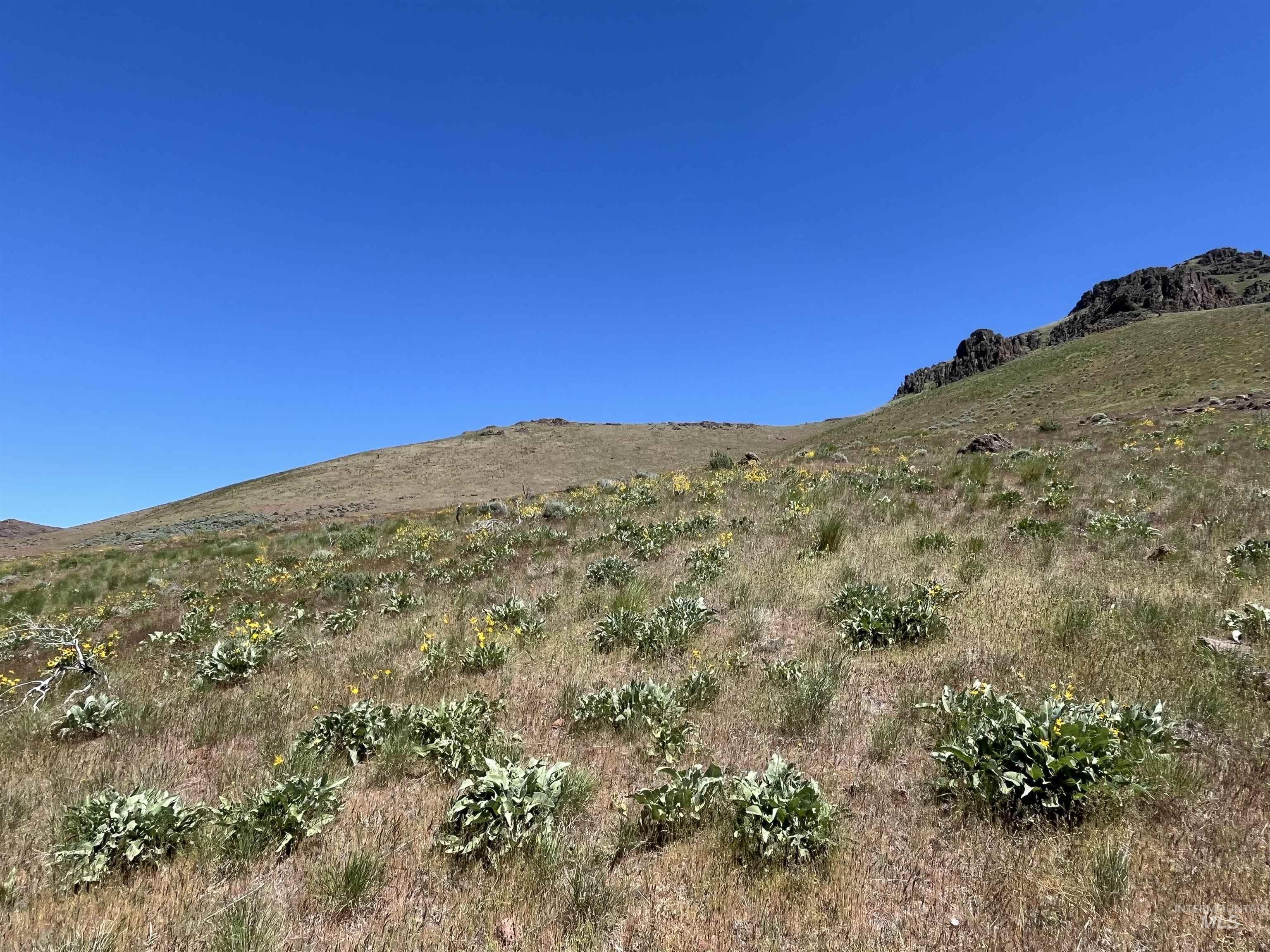 TBD NE Syrup Creek Rd., Mountain Home, Idaho 83647, Land For Sale, Price $320,000,MLS 98937808