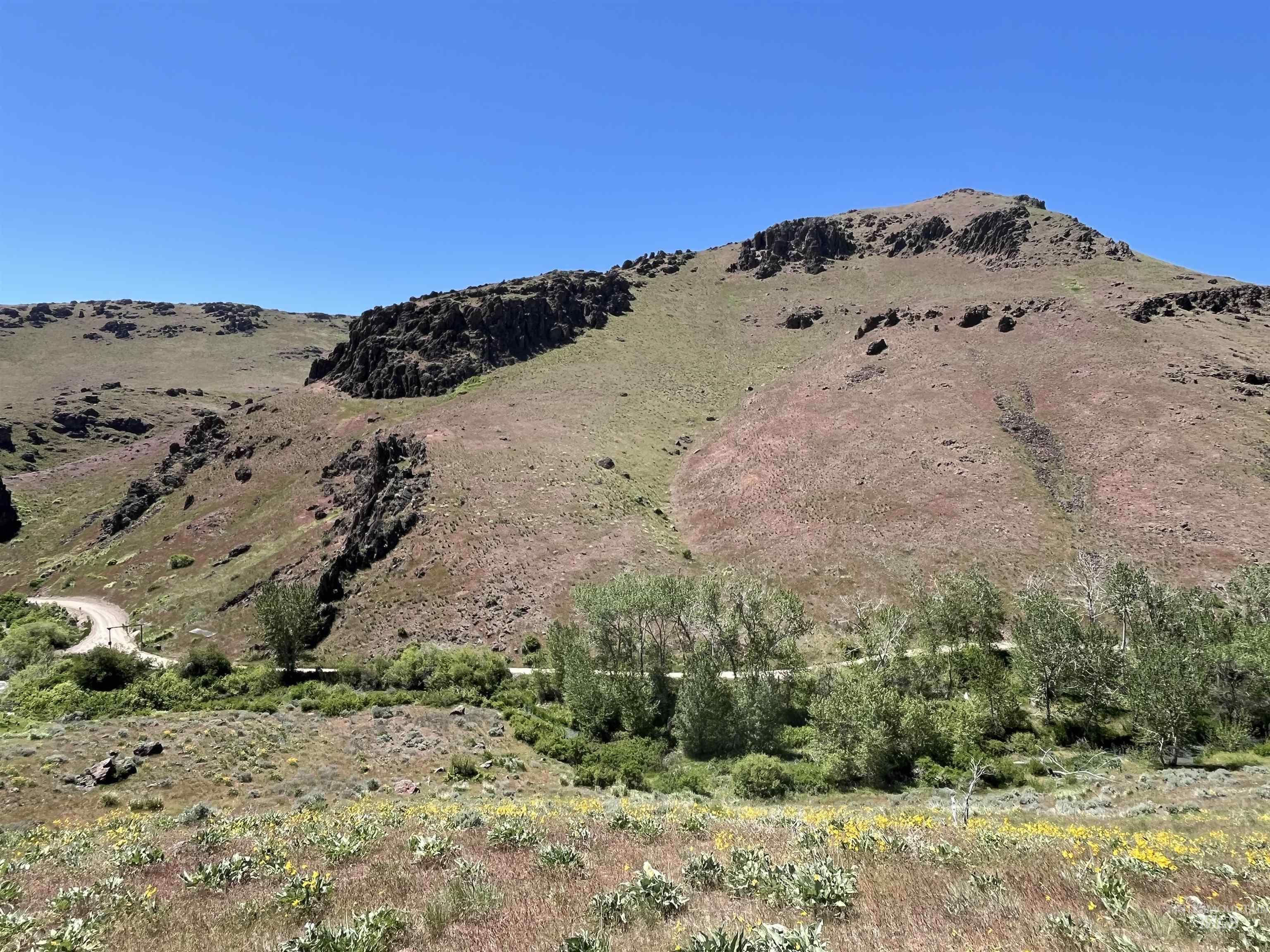 TBD NE Syrup Creek Rd., Mountain Home, Idaho 83647, Land For Sale, Price $320,000,MLS 98937808