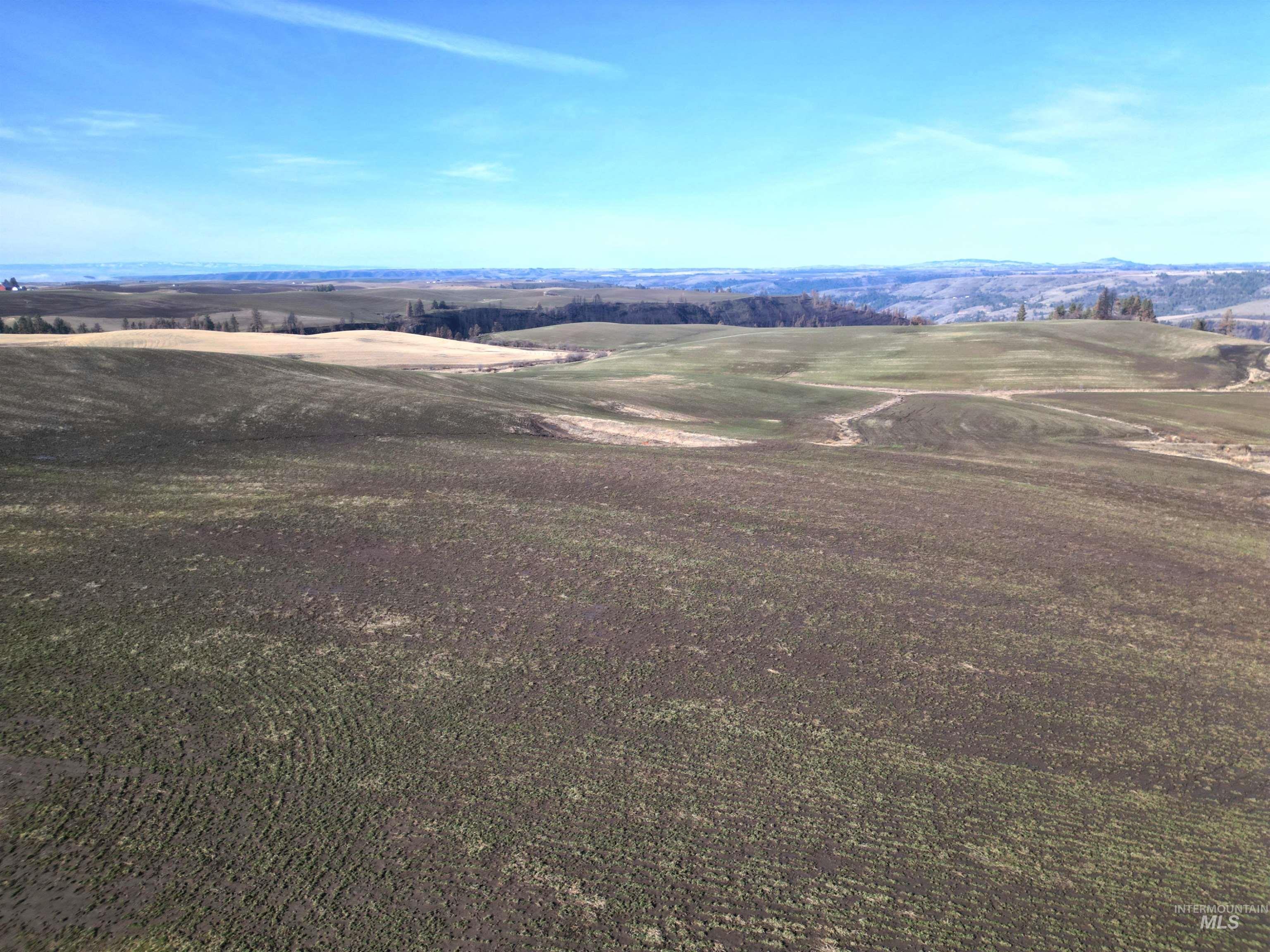 000 Wendt Rd., Kendrick, Idaho 83537, Land For Sale, Price $538,551,MLS 98937906