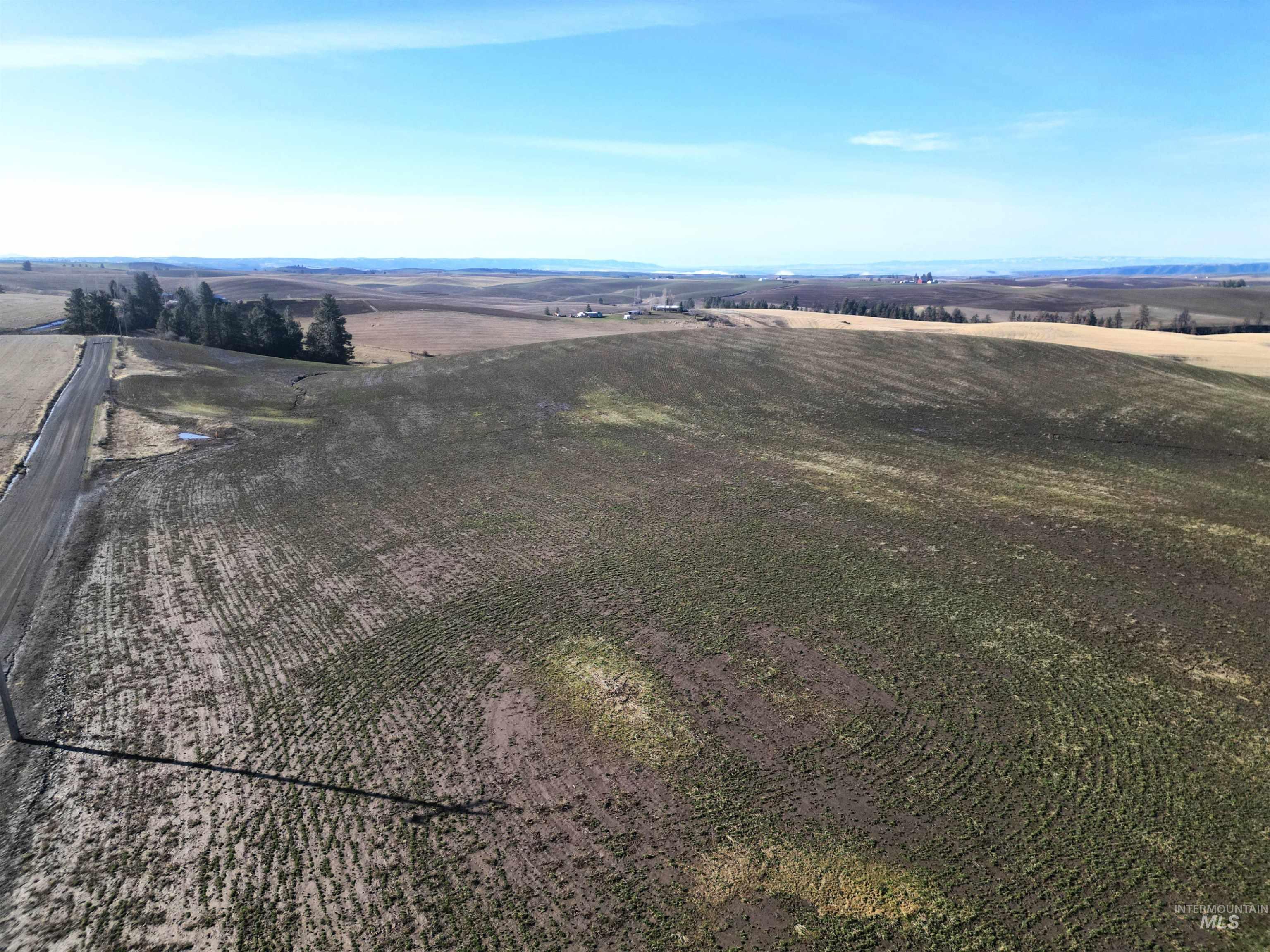 000 Wendt Rd., Kendrick, Idaho 83537, Land For Sale, Price $538,551,MLS 98937906