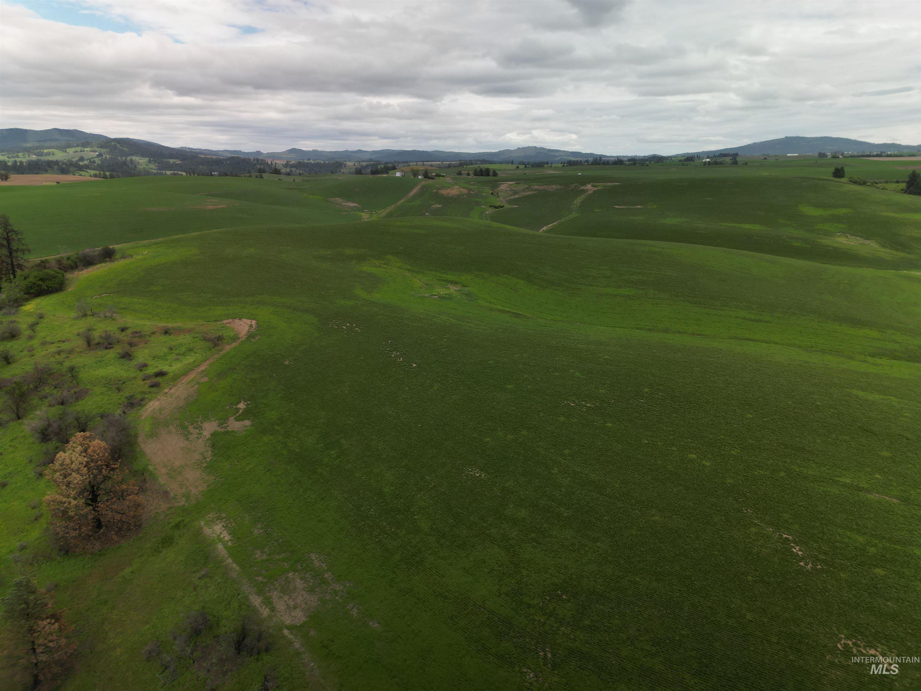 000 Wendt Rd., Kendrick, Idaho 83537, Land For Sale, Price $538,551,MLS 98937906
