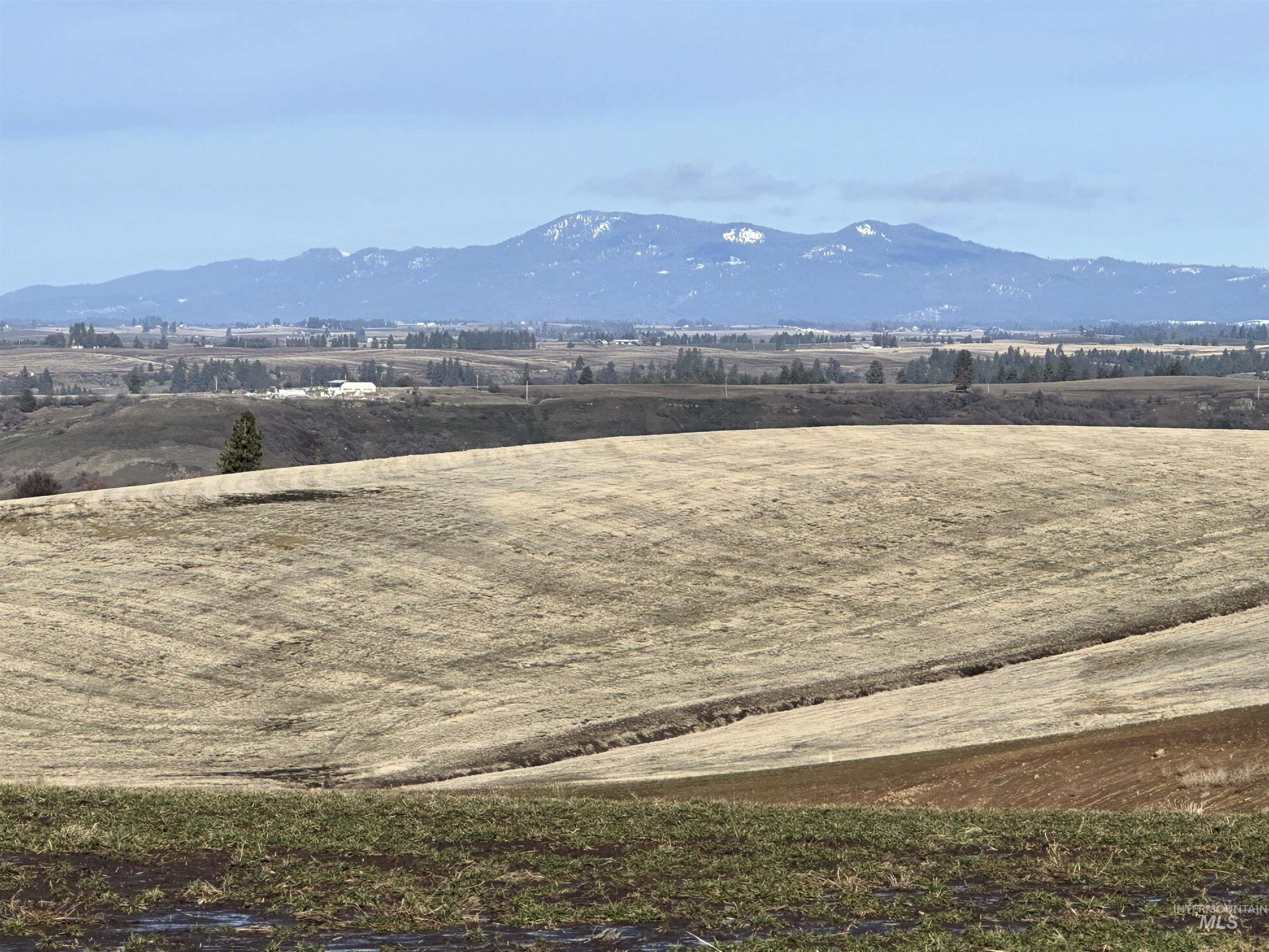 000 Wendt Rd., Kendrick, Idaho 83537, Land For Sale, Price $538,551,MLS 98937906