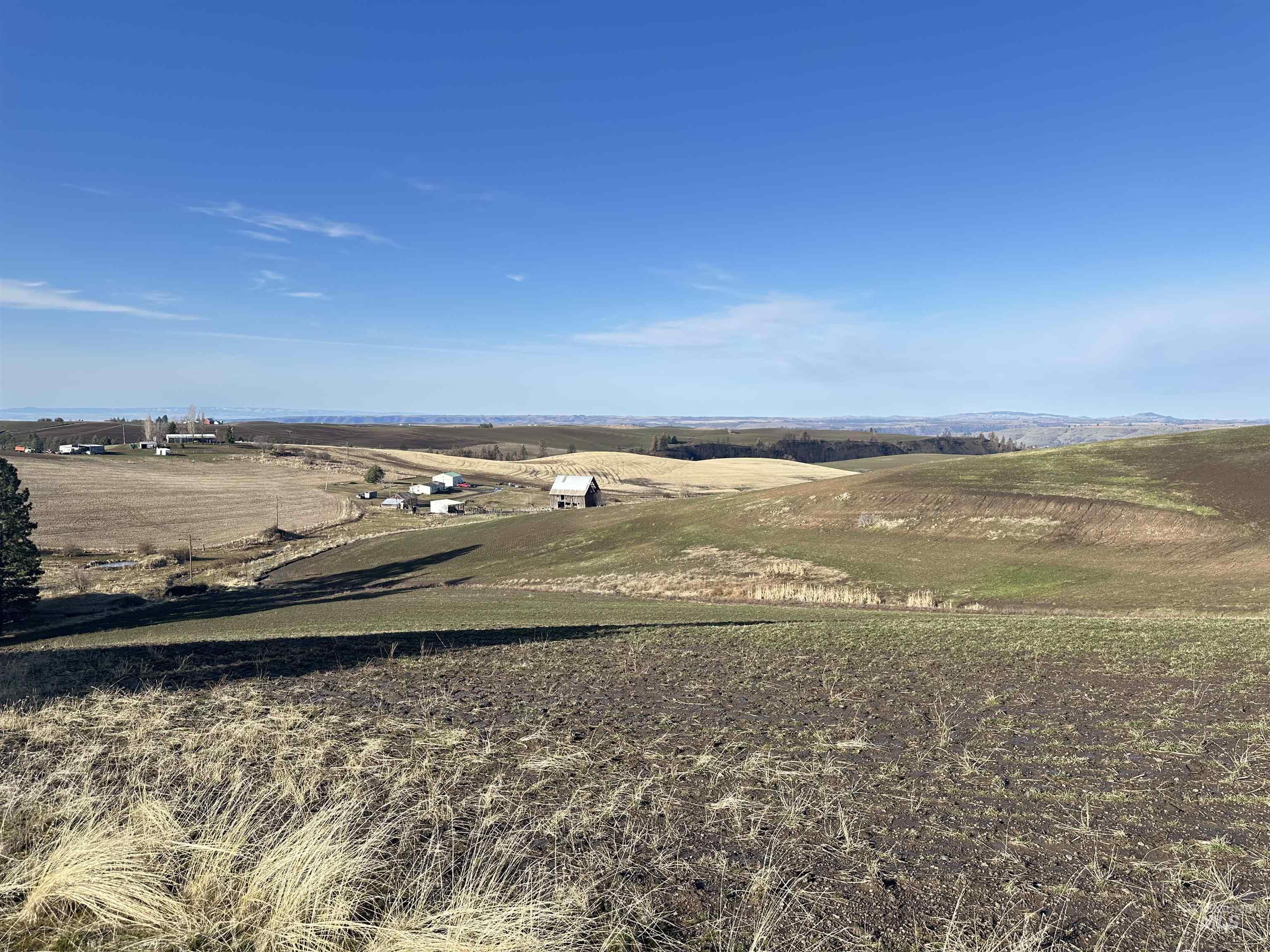 000 Wendt Rd., Kendrick, Idaho 83537, Land For Sale, Price $538,551,MLS 98937906