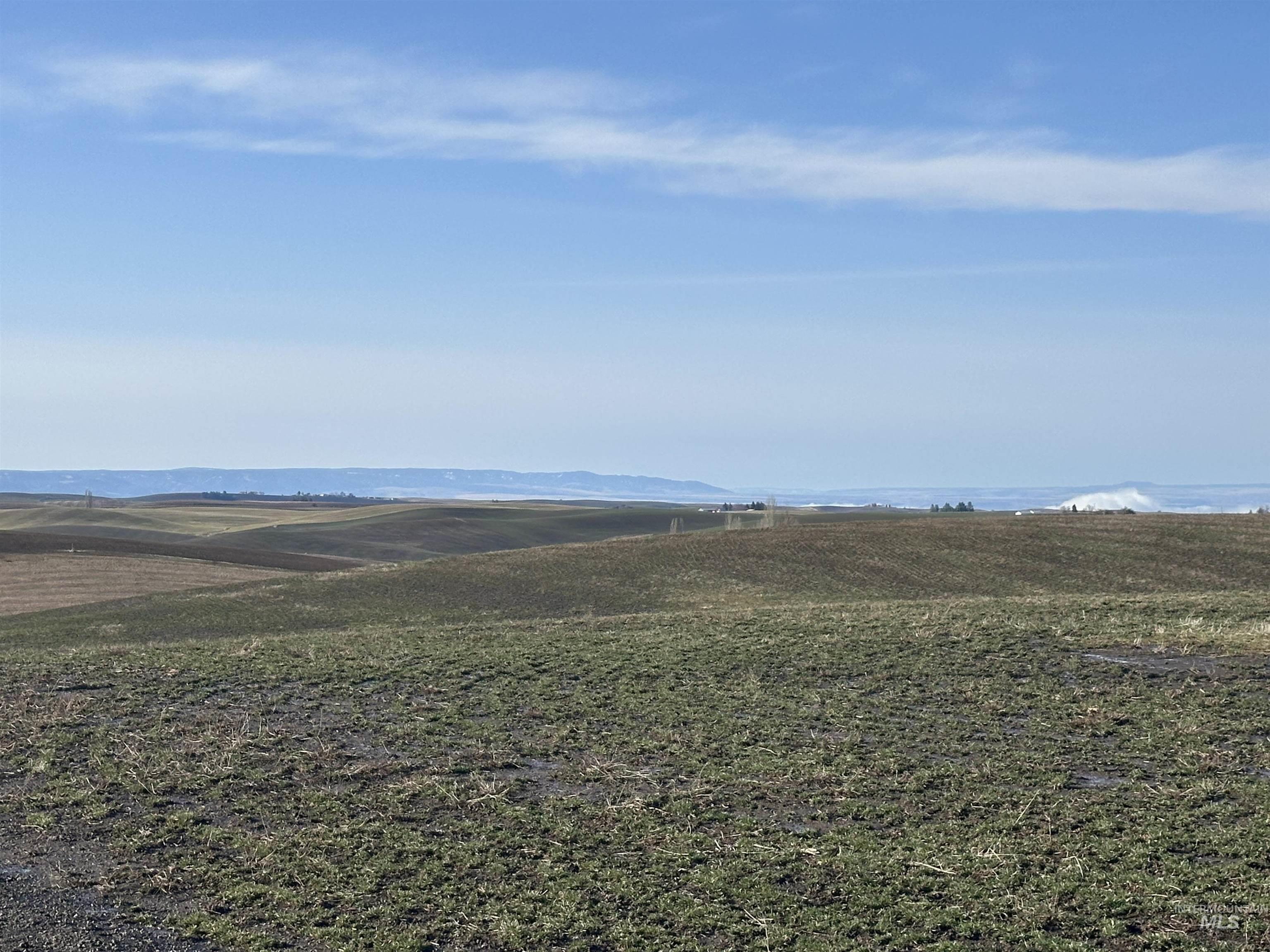 000 Wendt Rd., Kendrick, Idaho 83537, Land For Sale, Price $538,551,MLS 98937906