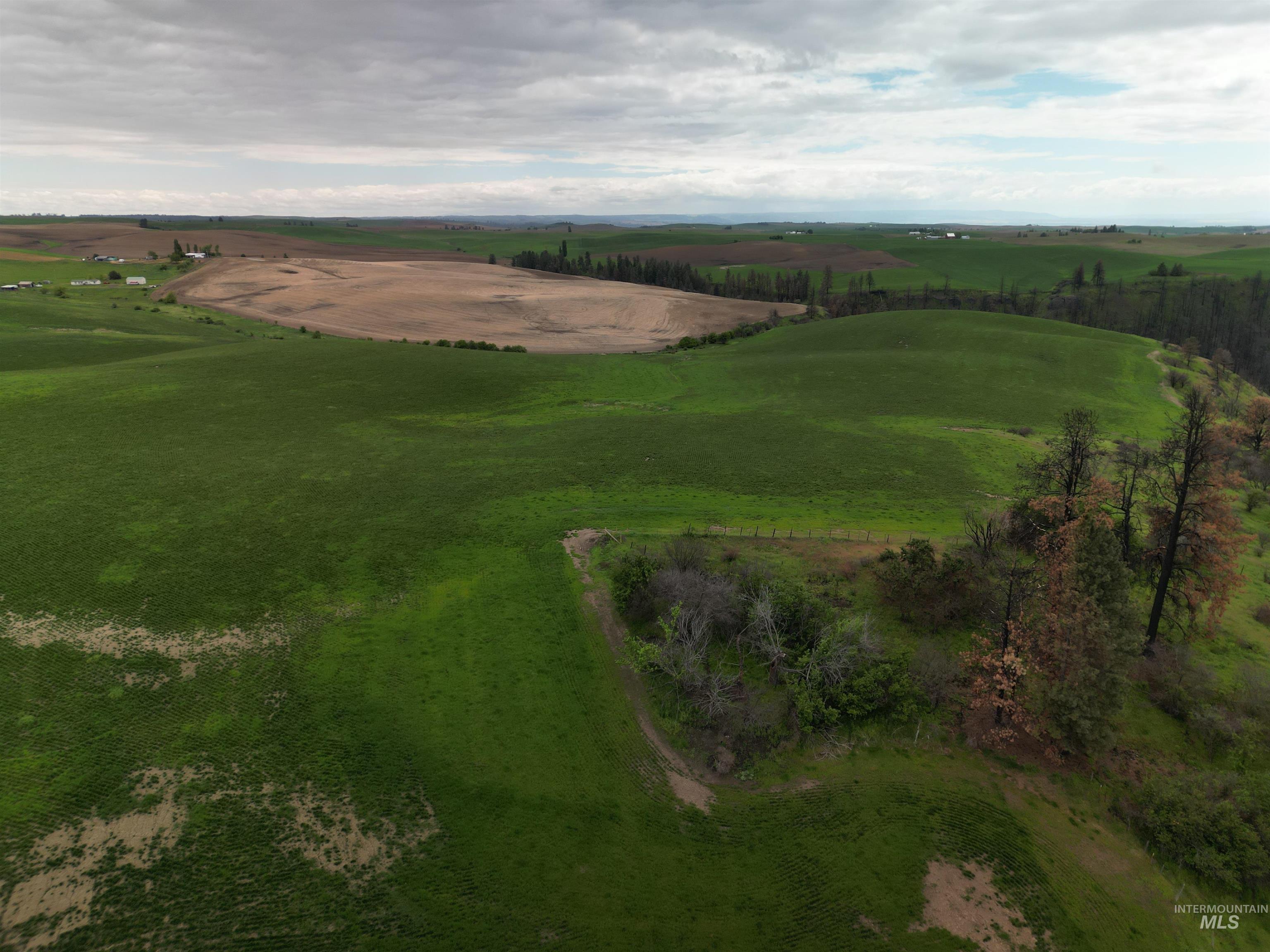 000 Wendt Rd., Kendrick, Idaho 83537, Land For Sale, Price $538,551,MLS 98937906