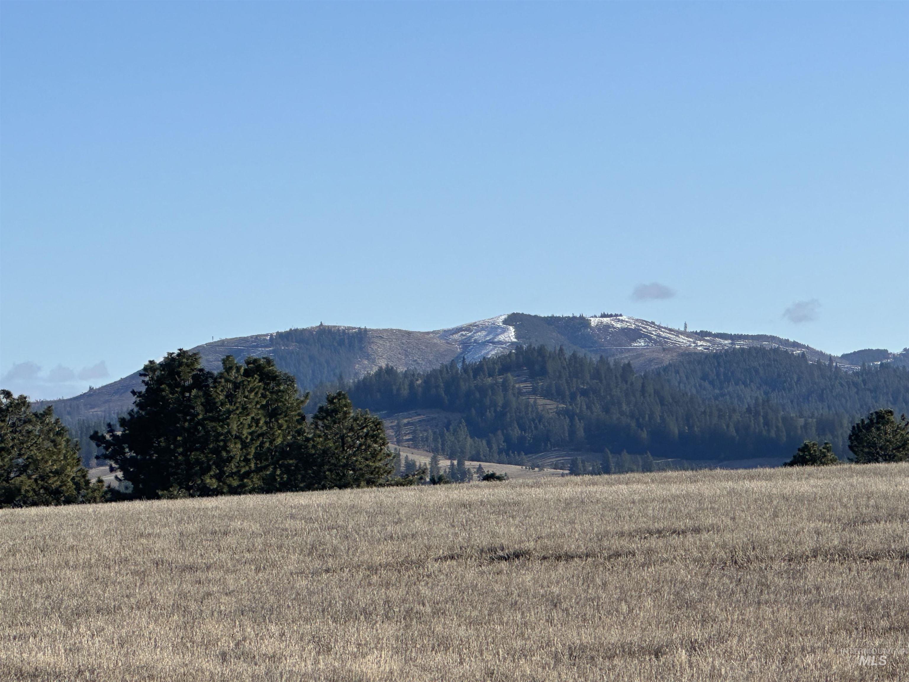 000 Wendt Rd., Kendrick, Idaho 83537, Land For Sale, Price $538,551,MLS 98937906