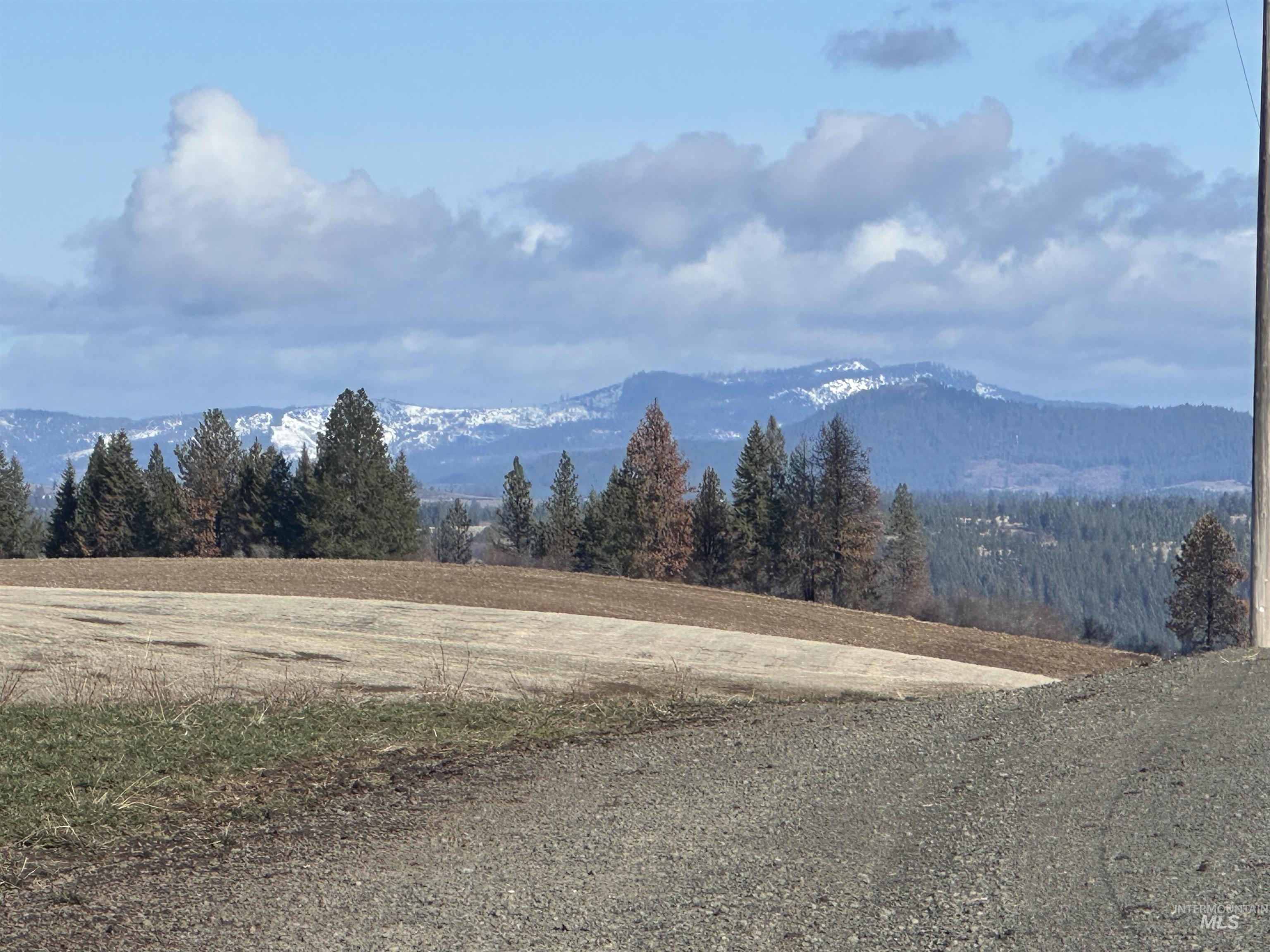 000 Wendt Rd., Kendrick, Idaho 83537, Land For Sale, Price $538,551,MLS 98937906
