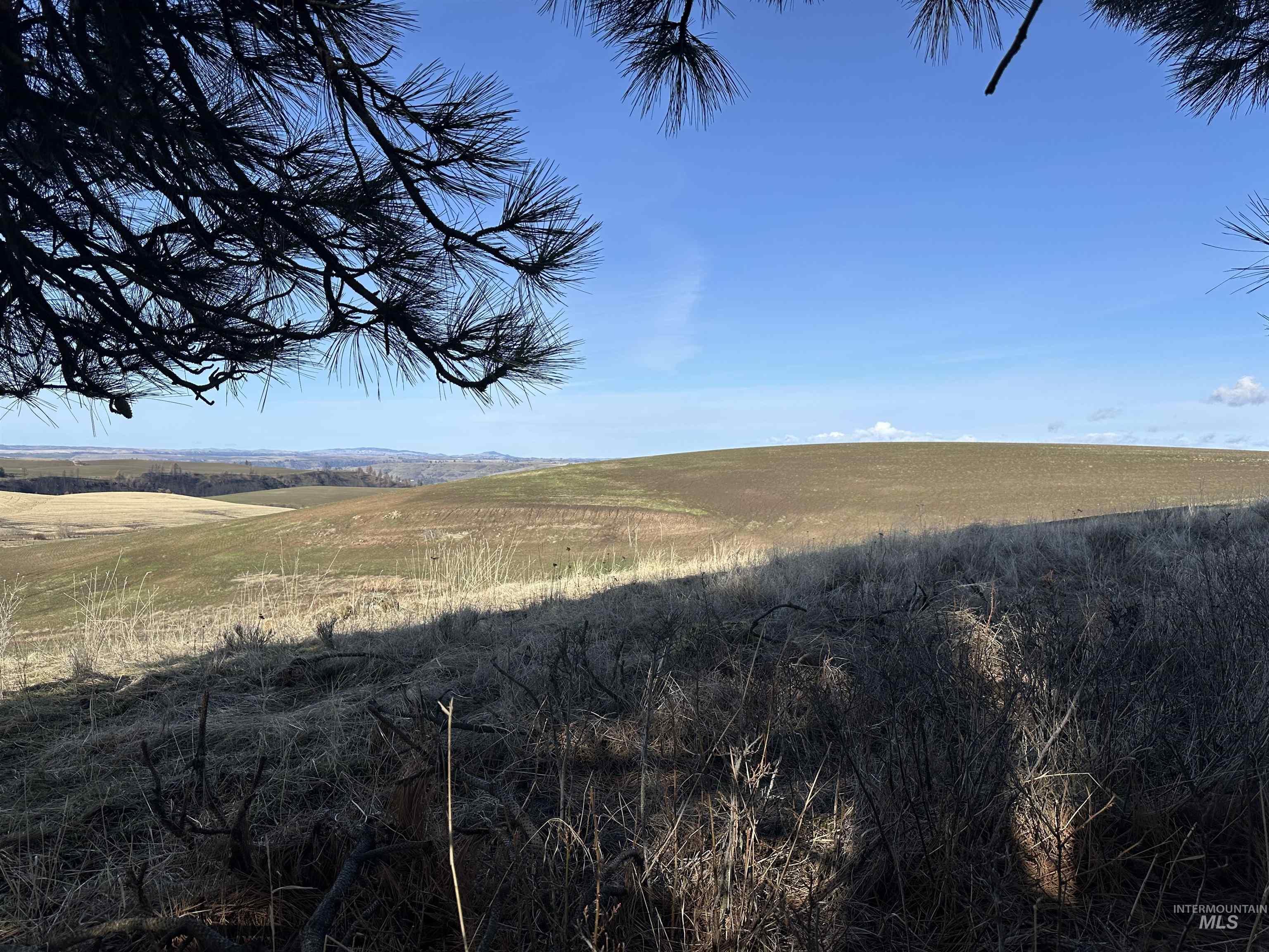 000 Wendt Rd., Kendrick, Idaho 83537, Land For Sale, Price $538,551,MLS 98937906