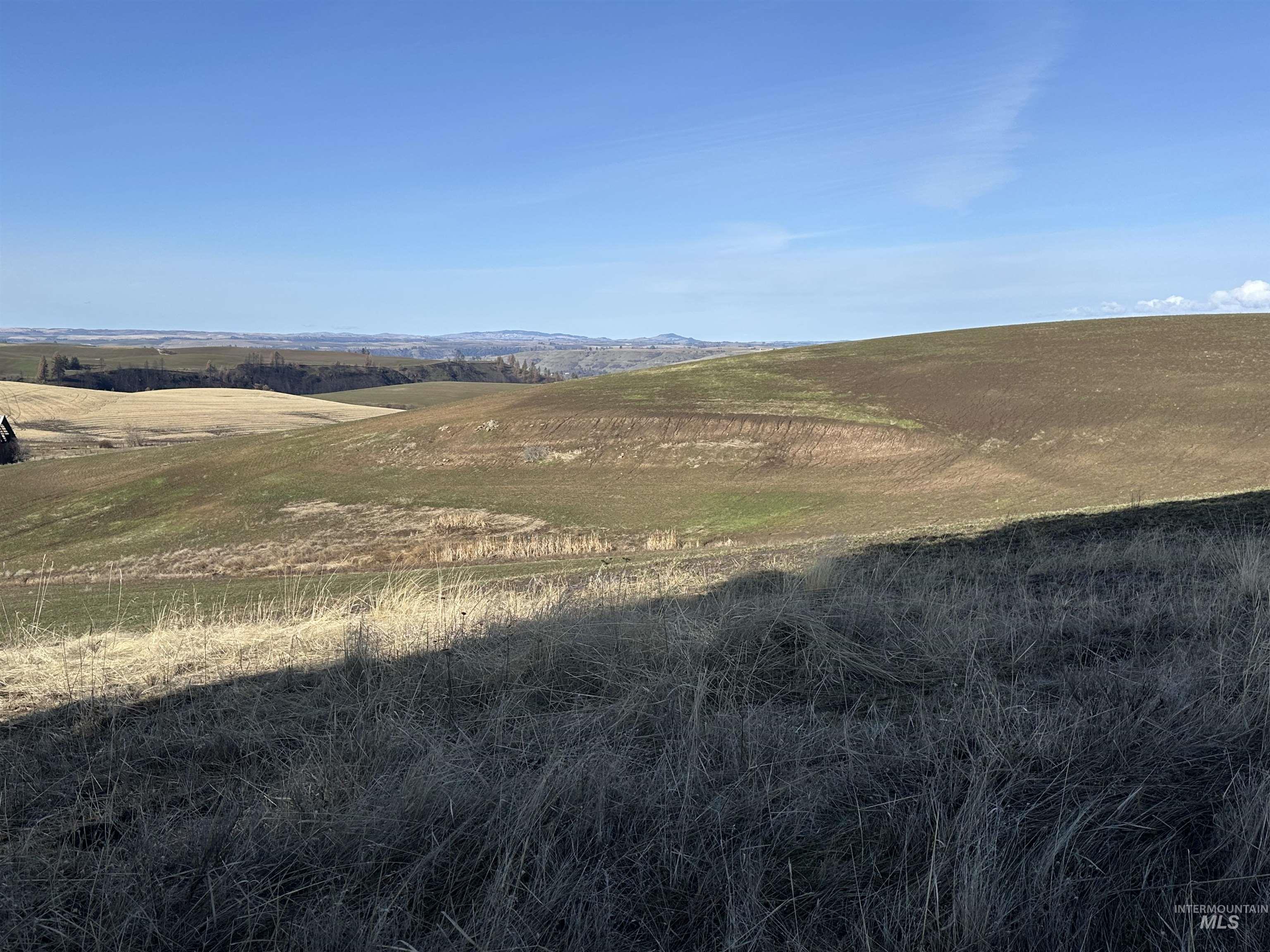 000 Wendt Rd., Kendrick, Idaho 83537, Land For Sale, Price $538,551,MLS 98937906