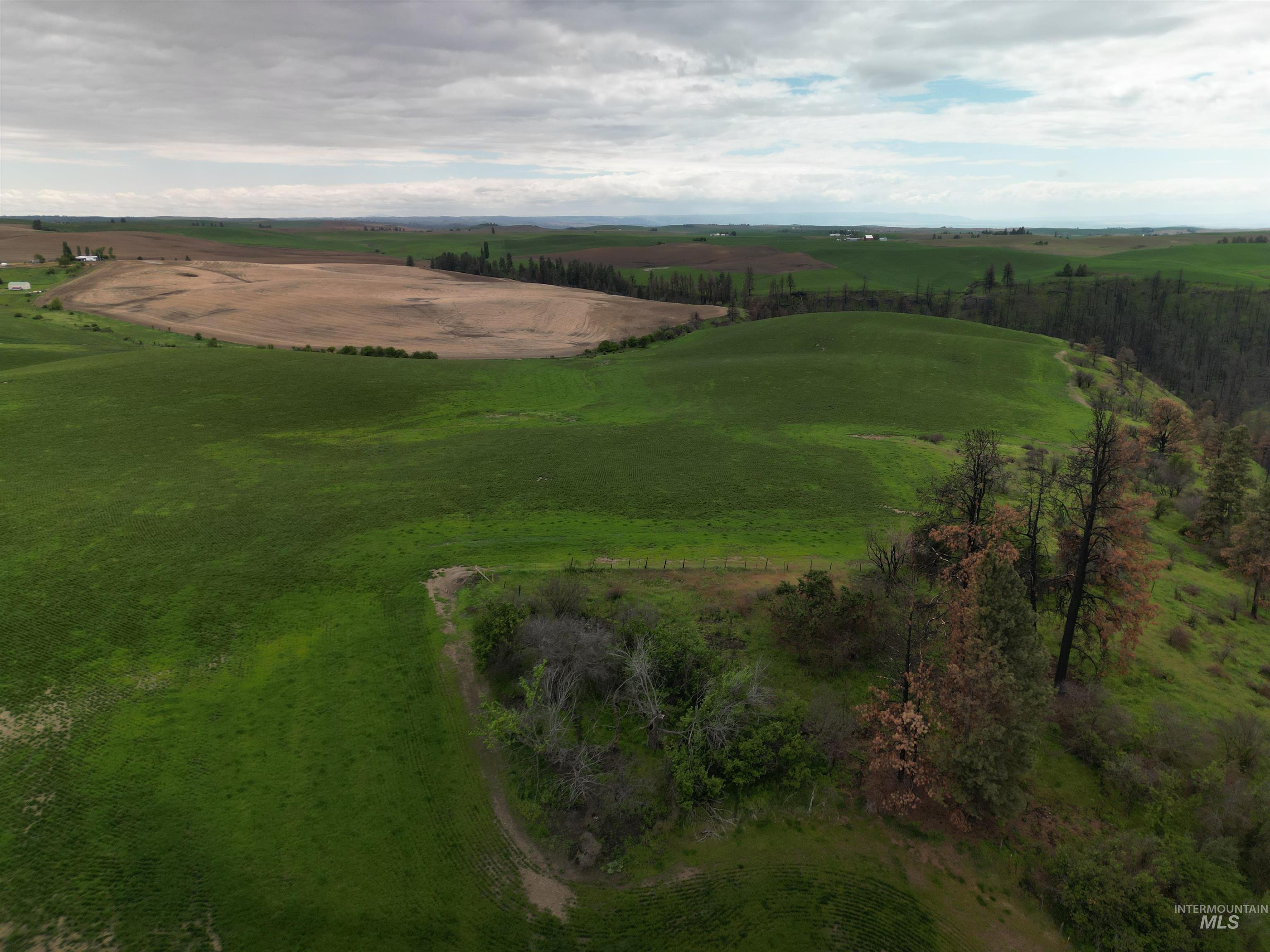 000 Wendt Rd., Kendrick, Idaho 83537, Land For Sale, Price $538,551,MLS 98937906